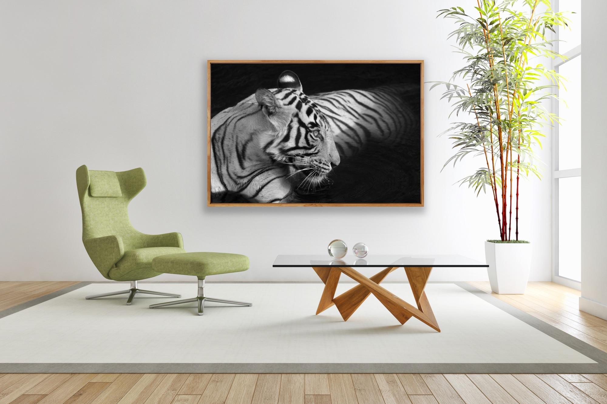Paysage Nature Photographie Animal Grand Noir et Blanc Tigre Eau Lac Inde  en vente 8