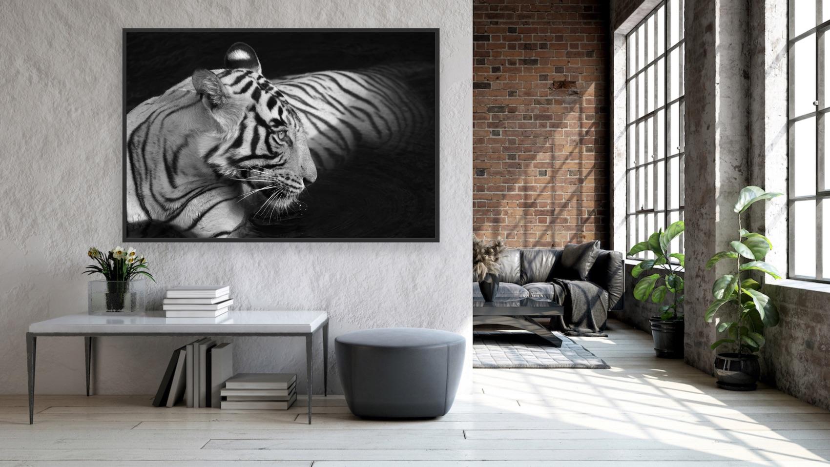 Paysage Nature Photographie Animal Grand Noir et Blanc Tigre Eau Lac Inde  en vente 4