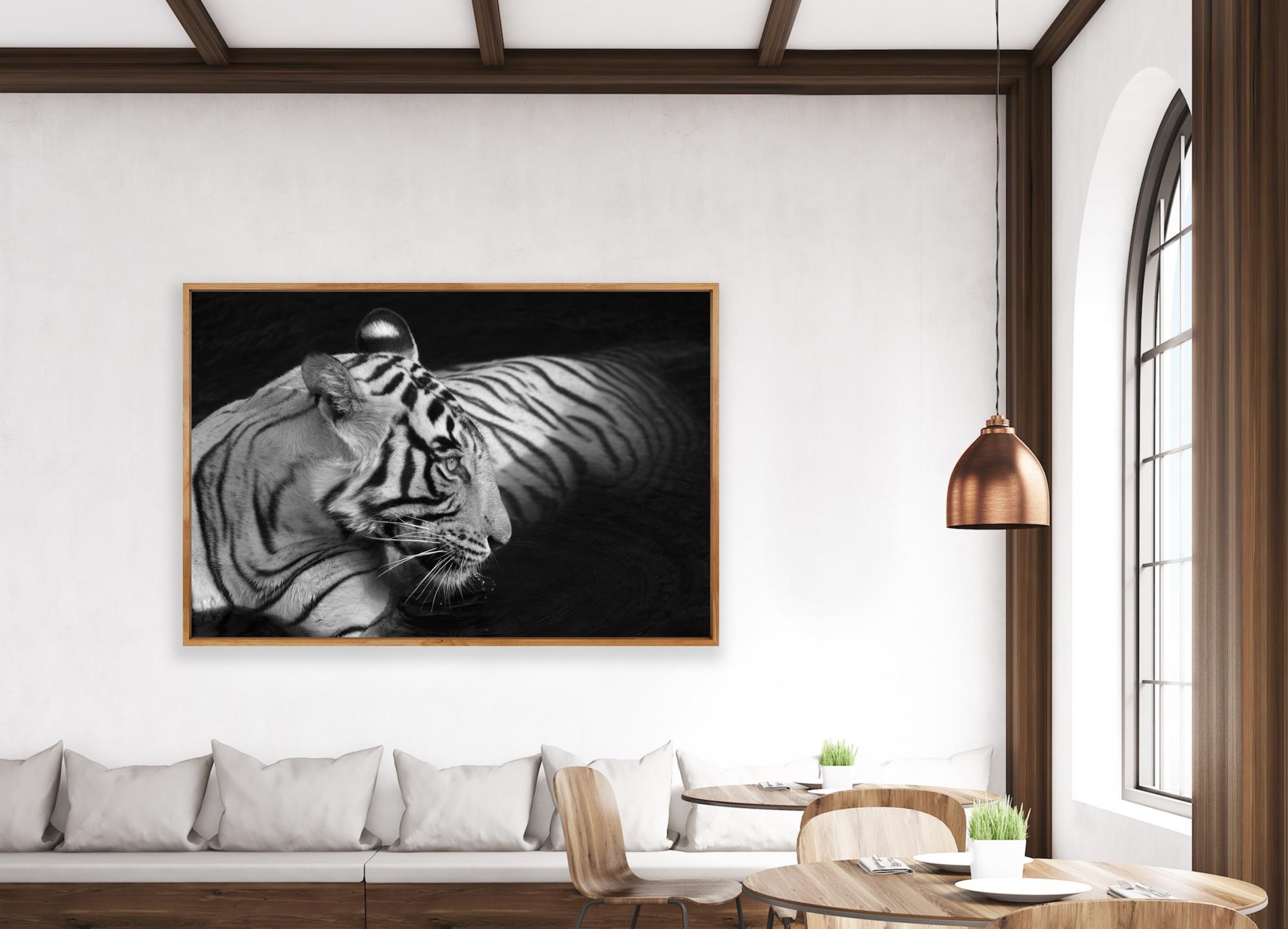 Paysage Nature Photographie Animal Grand Noir et Blanc Tigre Eau Lac Inde  en vente 6