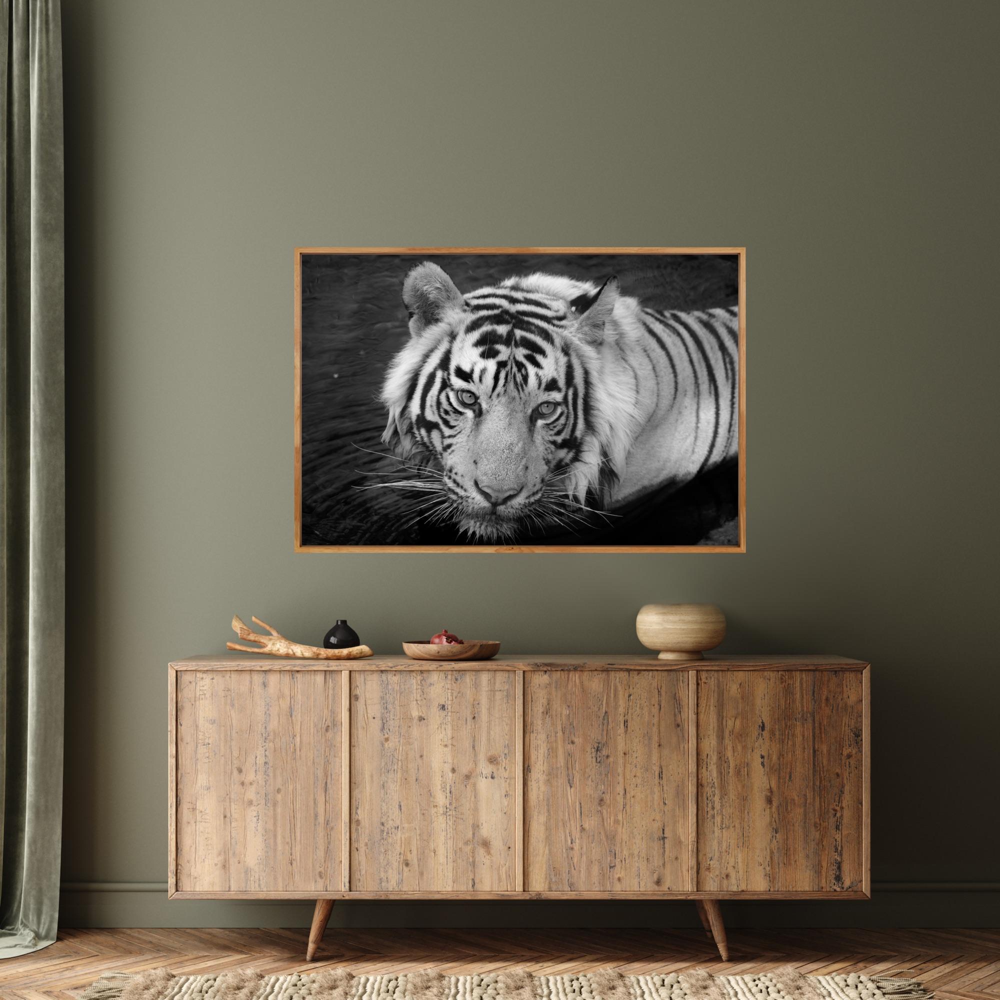 Landscape Nature Animal Photograph Large Black and White Tiger Water Lake India  For Sale 7