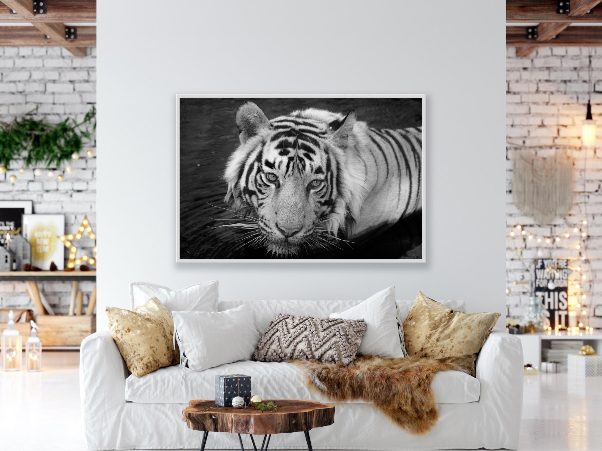 Landscape Nature Animal Photograph Large Black and White Tiger Water Lake India  For Sale 2