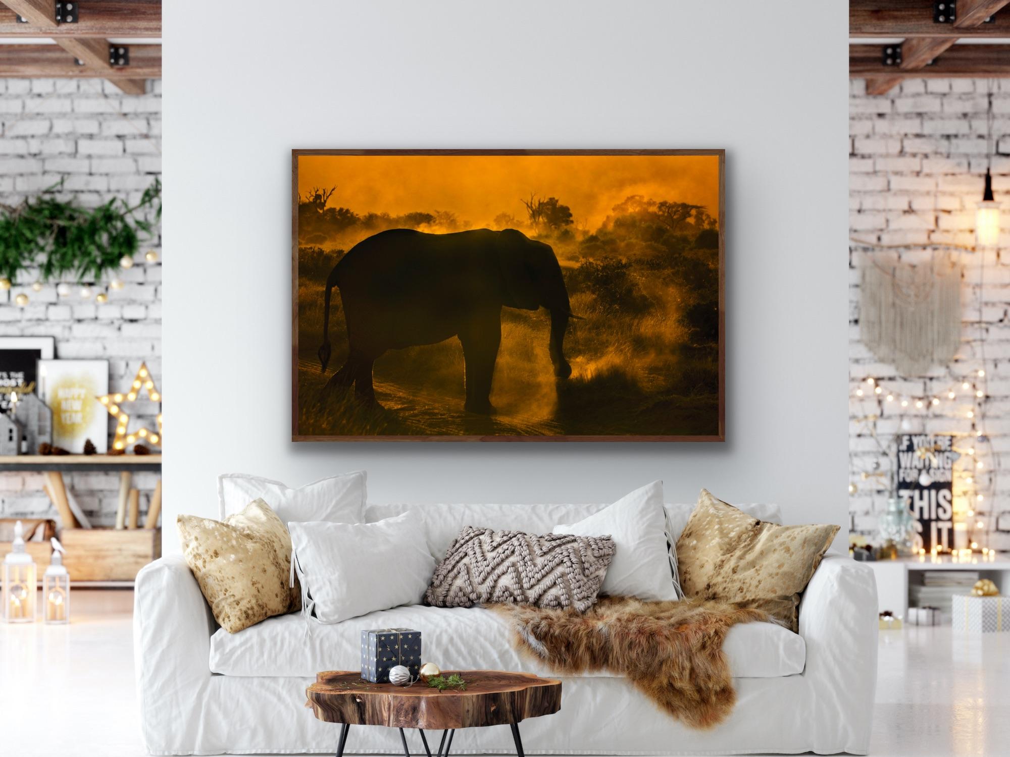  Paysage Grande Photographie Nature Eléphant Faune Afrique Orange Arbres Coucher de soleil en vente 5