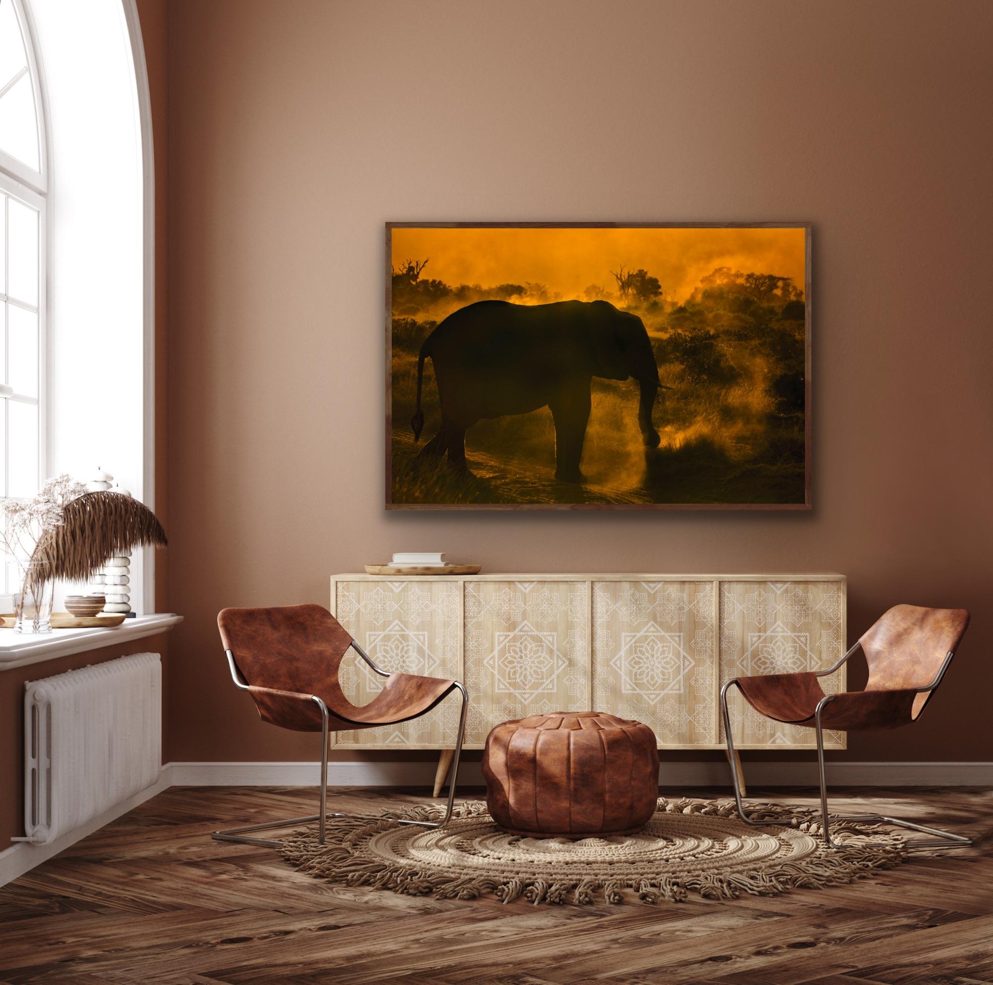  Landschaft Großes Foto Natur Elefant Wildtiere Afrika Orange Bäume Sonnenuntergang im Angebot 3