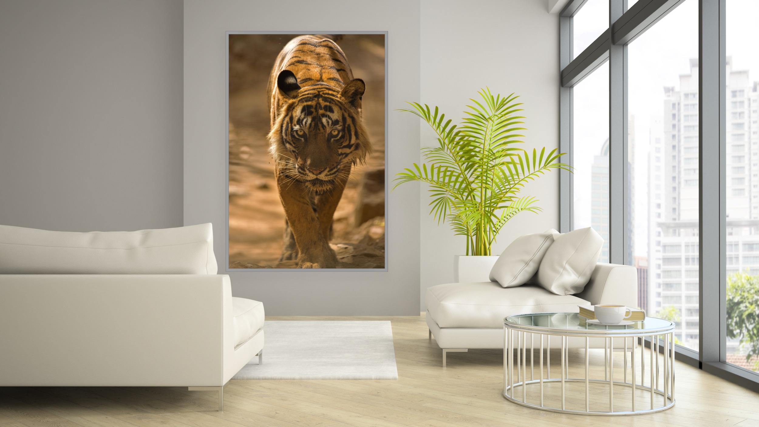 Landschaft Großer Tiger Fotografie Natur Indien Wildtiere Wald Farbe im Angebot 5