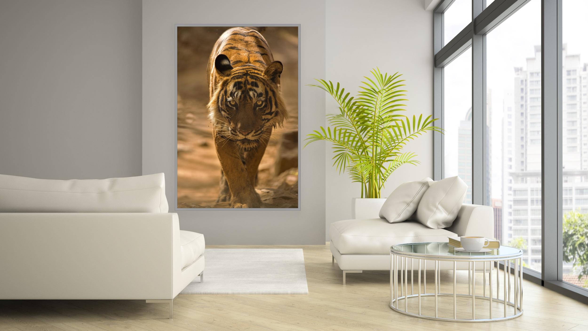 Landscape Large Tiger Photograph Nature India Wildlife Forest Colour For Sale 3