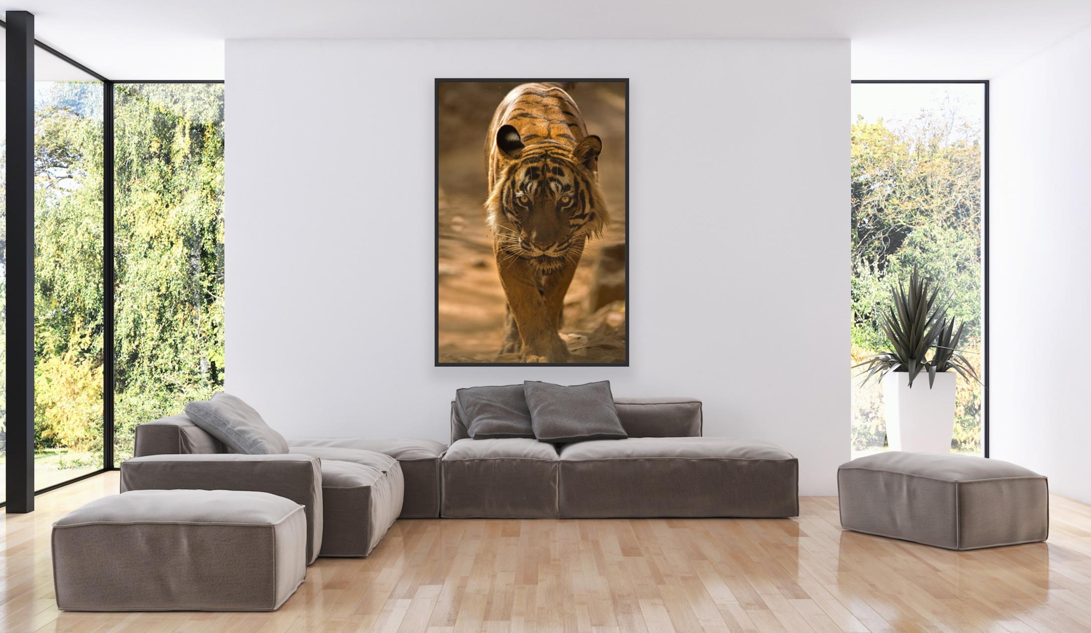 Landschaft Großer Tiger Fotografie Natur Indien Wildtiere Wald Farbe im Angebot 8