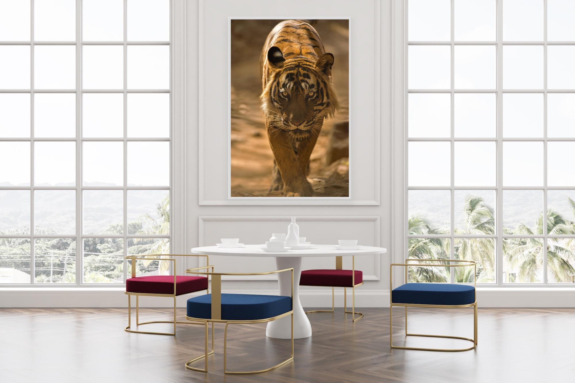 Paysage Grand Tigre Photographie Nature Inde Faune Forêt Couleur en vente 3