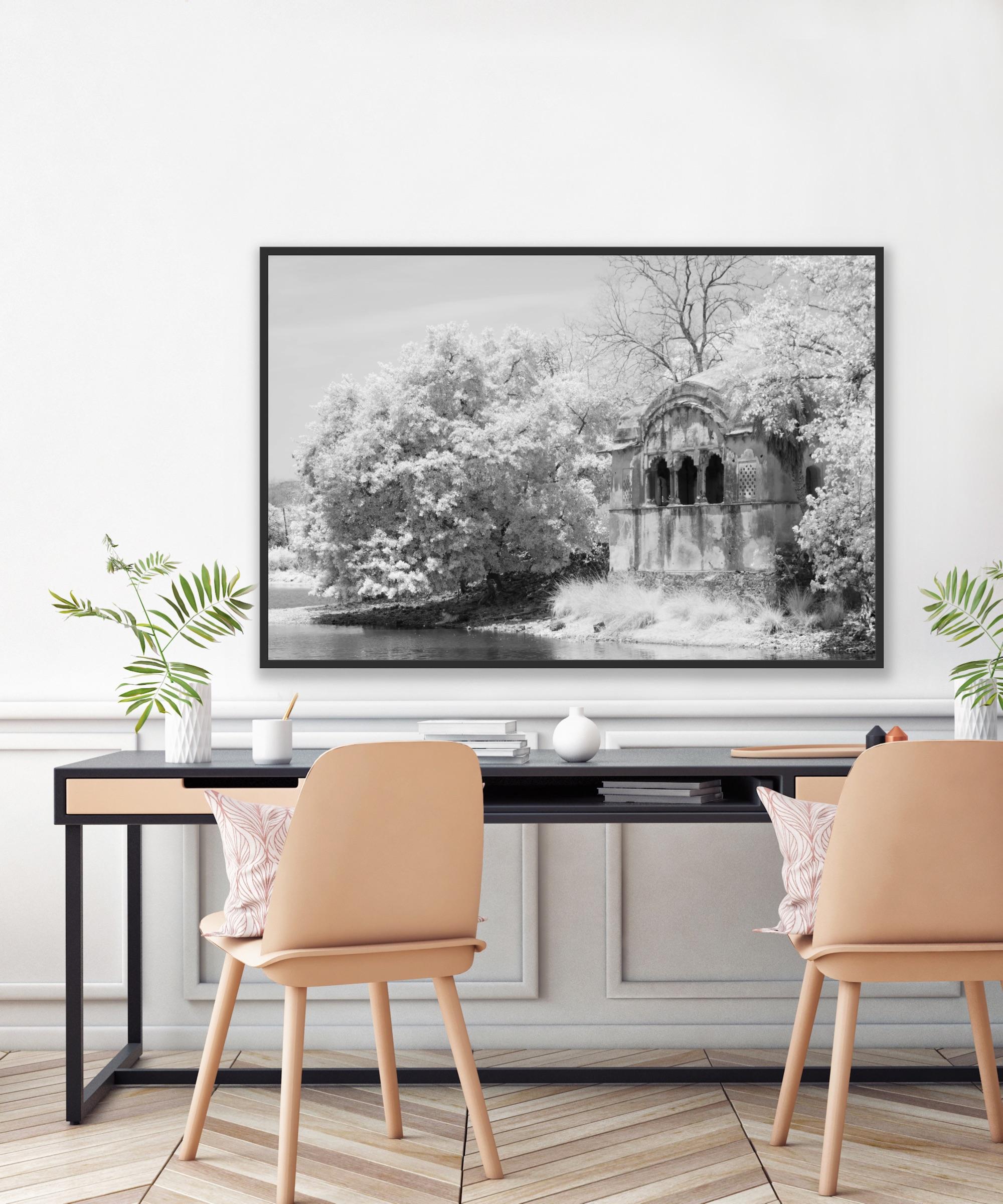 Landscape Photograph Nature Large Black White Infrared  India Tiger Lake Trees For Sale 9