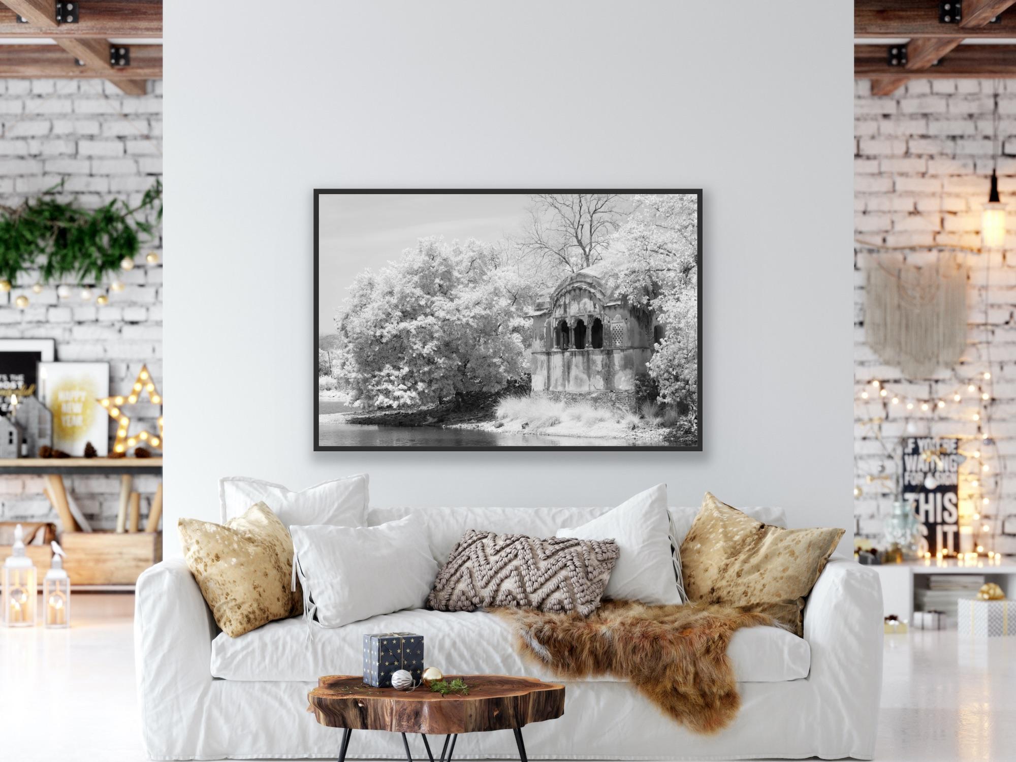 Landscape Photograph Nature Large Black White Infrared  India Tiger Lake Trees For Sale 13