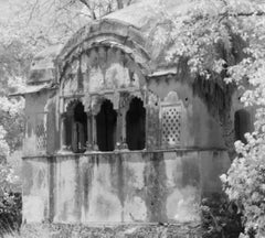 Landscape Photograph Tiger  Nature Large Black White Infrared  India Lake Trees