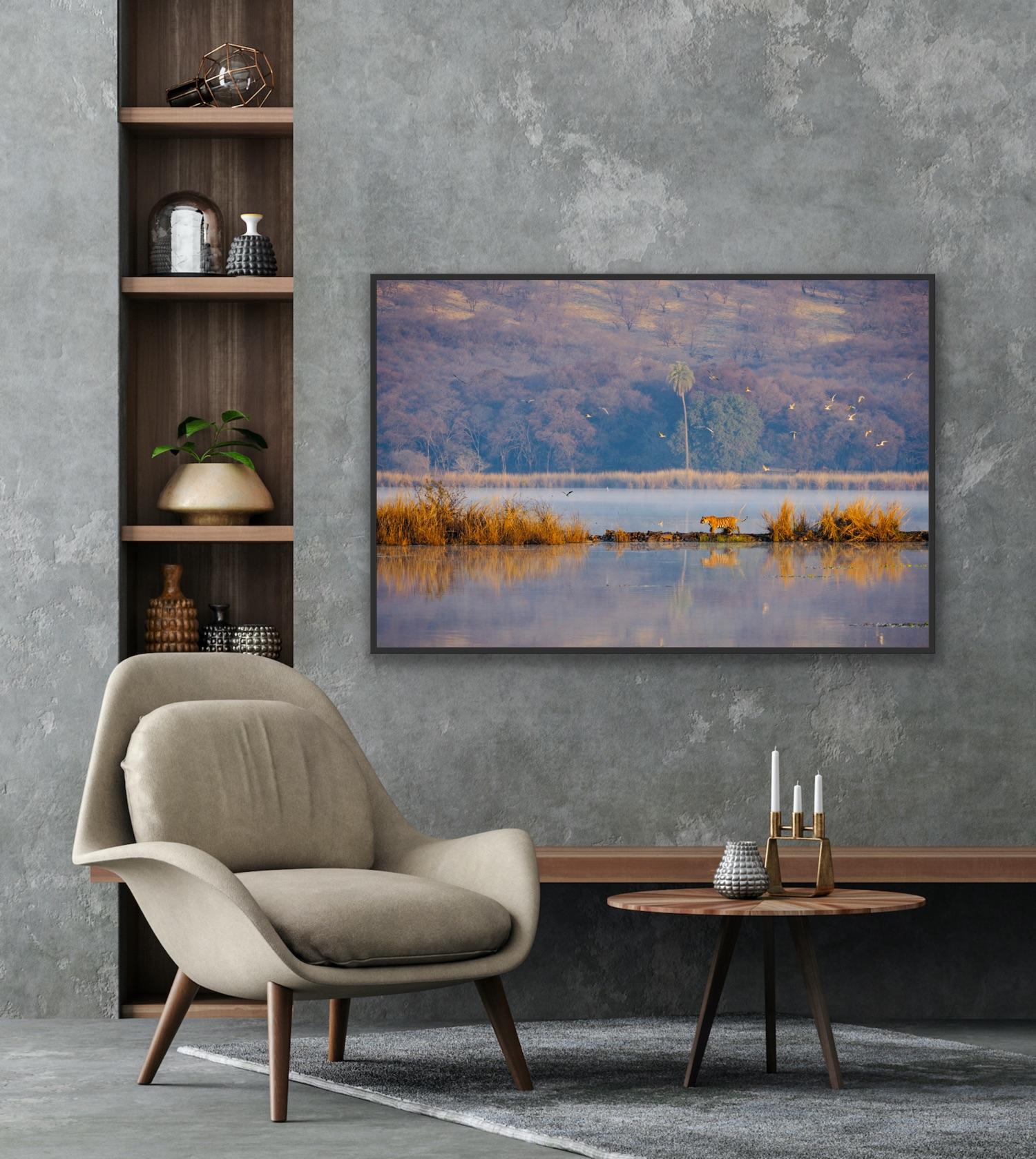 Wildlife Tiger Landscape India Photograph Nature Large Sunset Lake Tree Water en vente 9