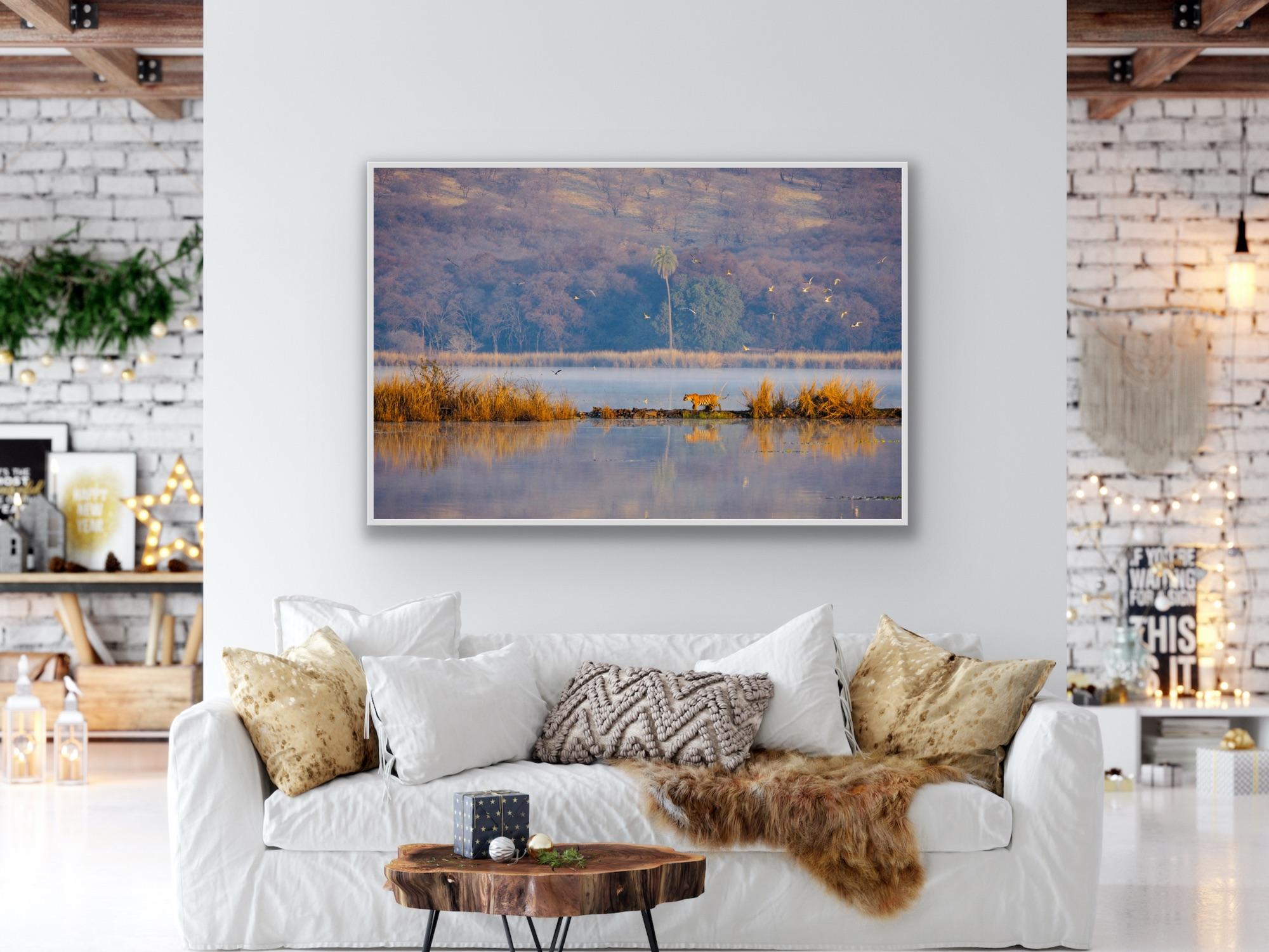 Wildlife Tiger Landscape India Photograph Nature Large Sunset Lake Tree Water en vente 10
