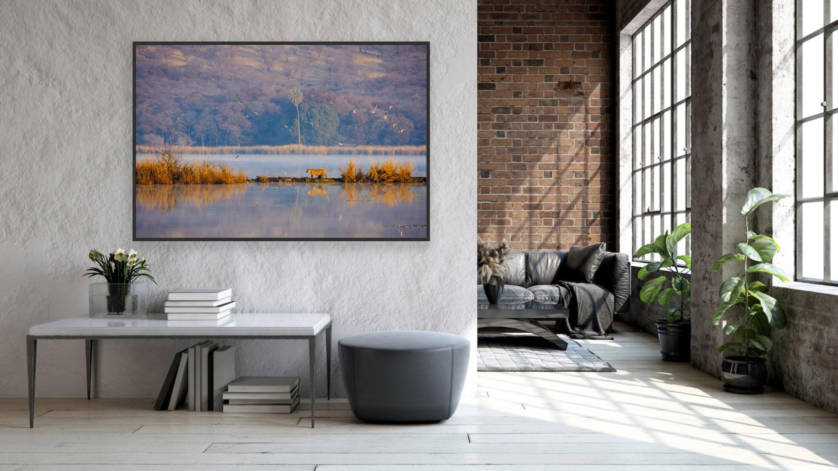 Wildlife Tiger Landscape India Photograph Nature Large Sunset Lake Tree Water en vente 3