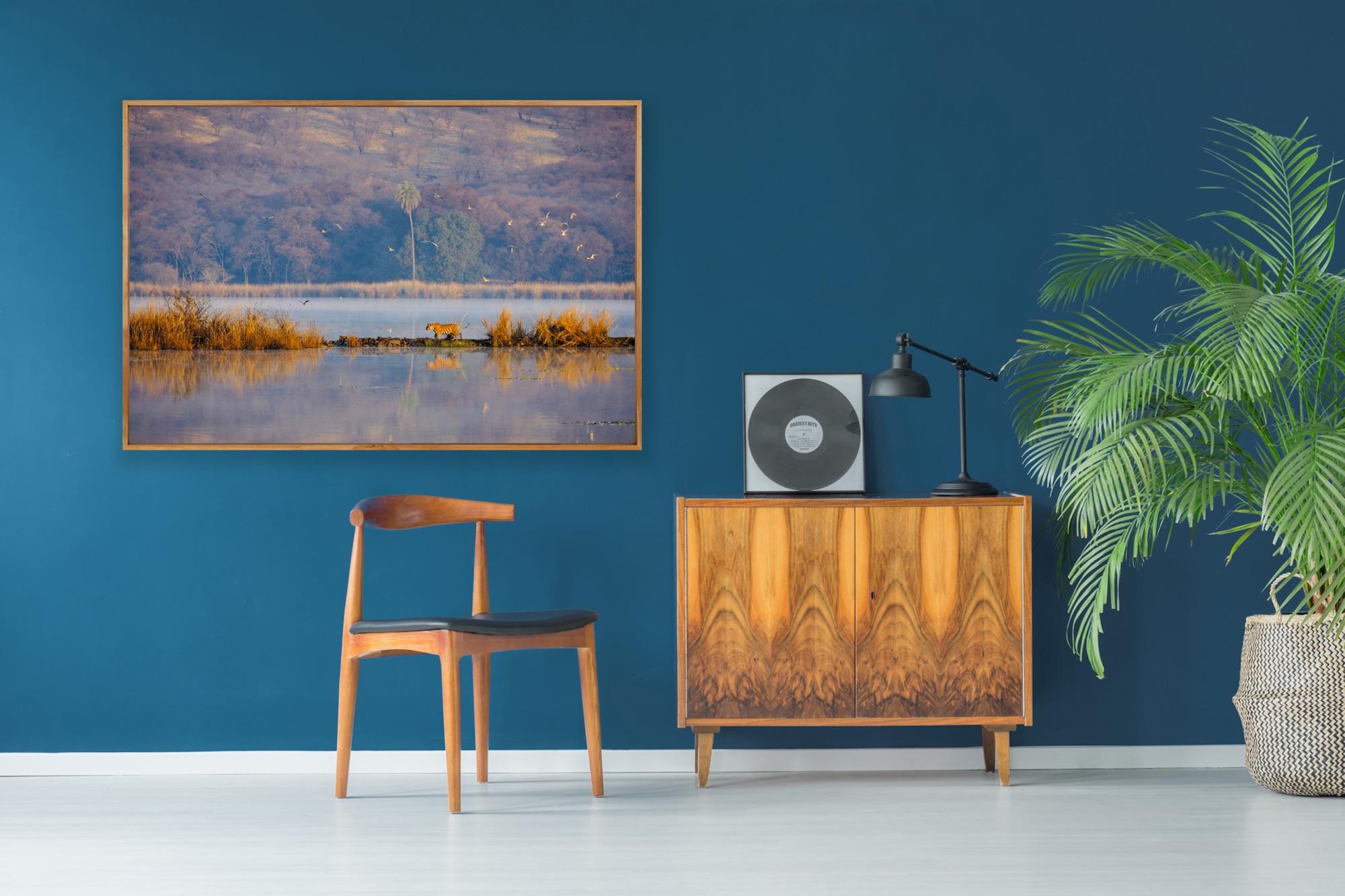 Wildlife Tiger Landscape India Photograph Nature Large Sunset Lake Tree Water en vente 4