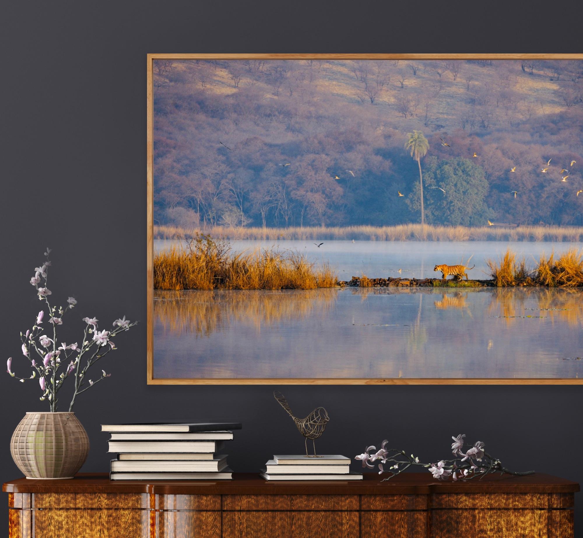 Wildlife Tiger Landscape India Photograph Nature Large Sunset Lake Tree Water en vente 5