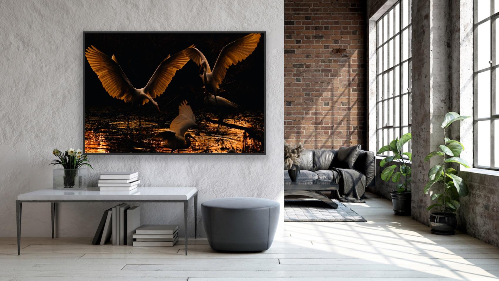 Reiher Vögel Groß Natur Landschaft Fotografie Indien Dämmerung Wildlife Wasser Weiß im Angebot 10