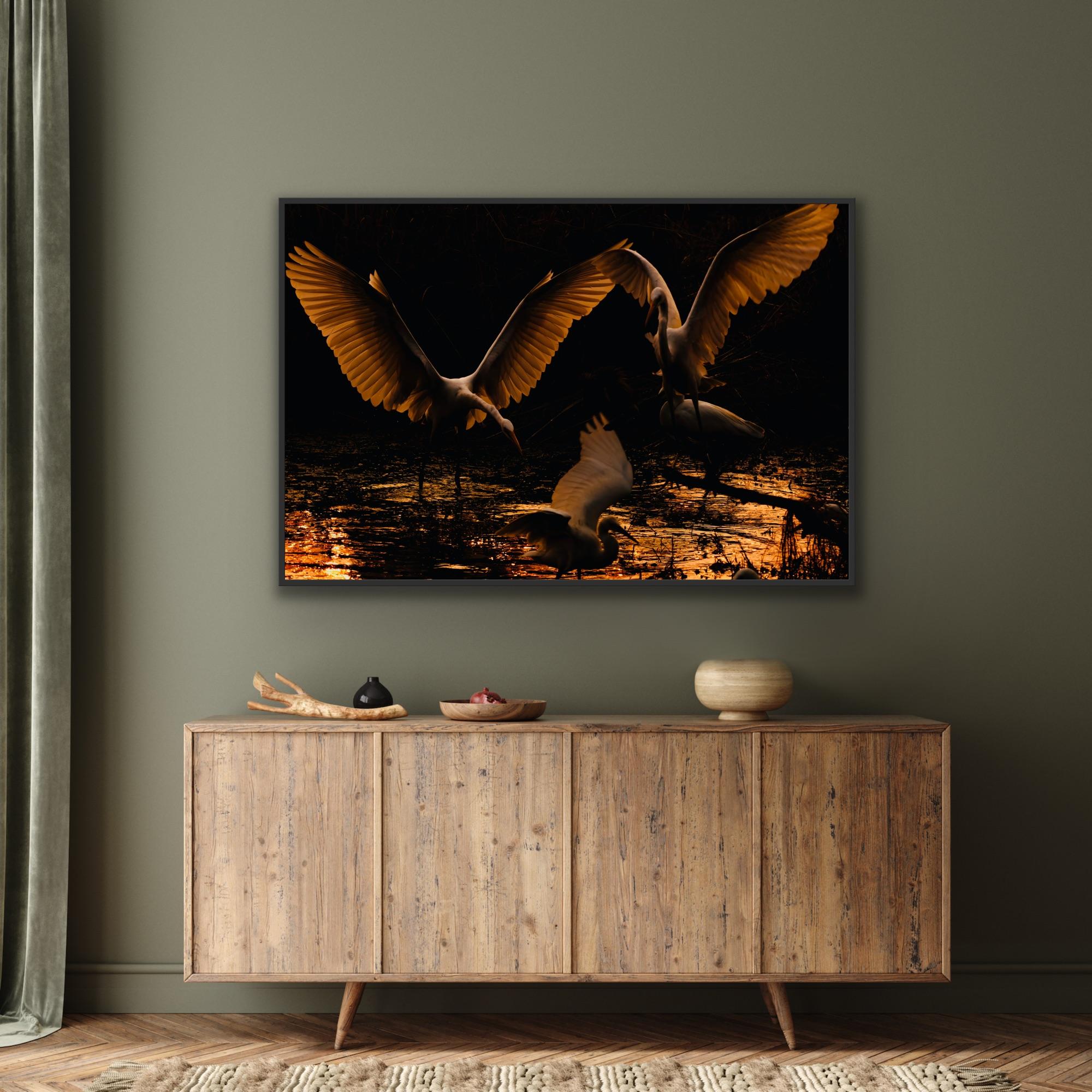 Reiher Vögel Groß Natur Landschaft Fotografie Indien Dämmerung Wildlife Wasser Weiß im Angebot 11