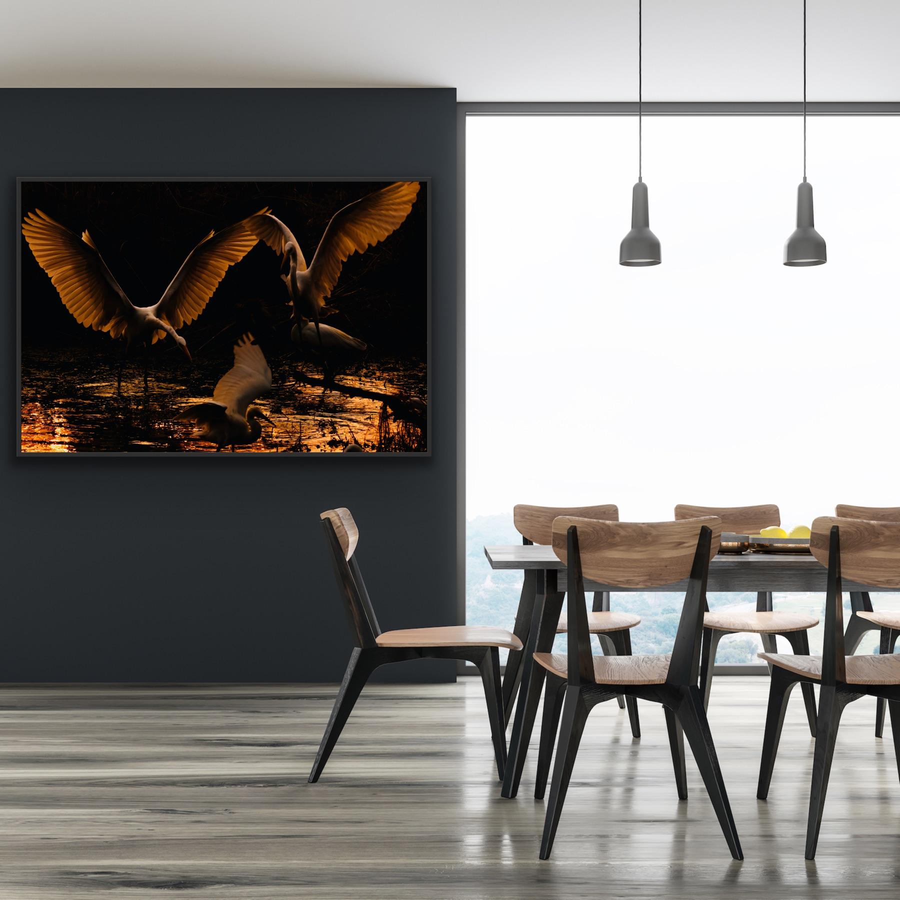 Reiher Vögel Groß Natur Landschaft Fotografie Indien Dämmerung Wildlife Wasser Weiß im Angebot 2