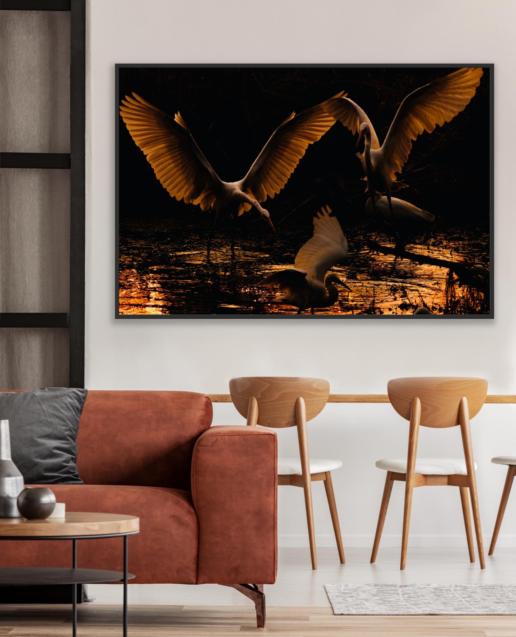 Reiher Vögel Groß Natur Landschaft Fotografie Indien Dämmerung Wildlife Wasser Weiß im Angebot 4