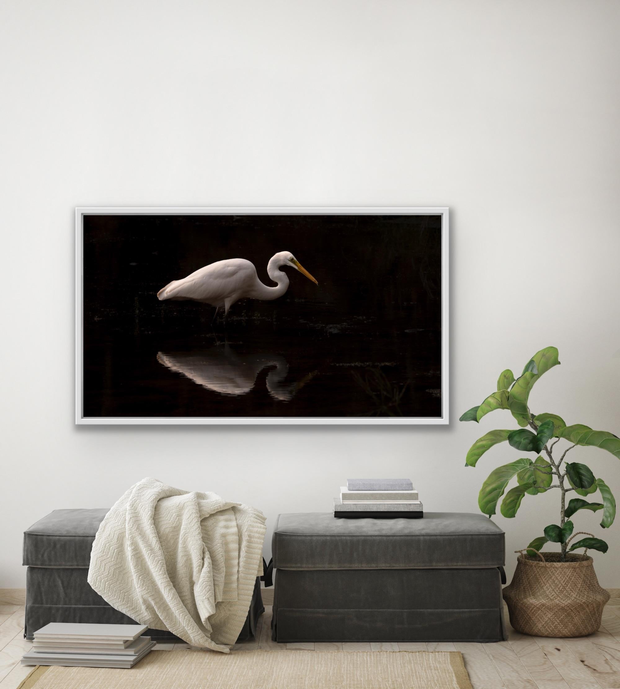 Animal Photograph Large Nature Bird Water Reflection Wildlife India White For Sale 7