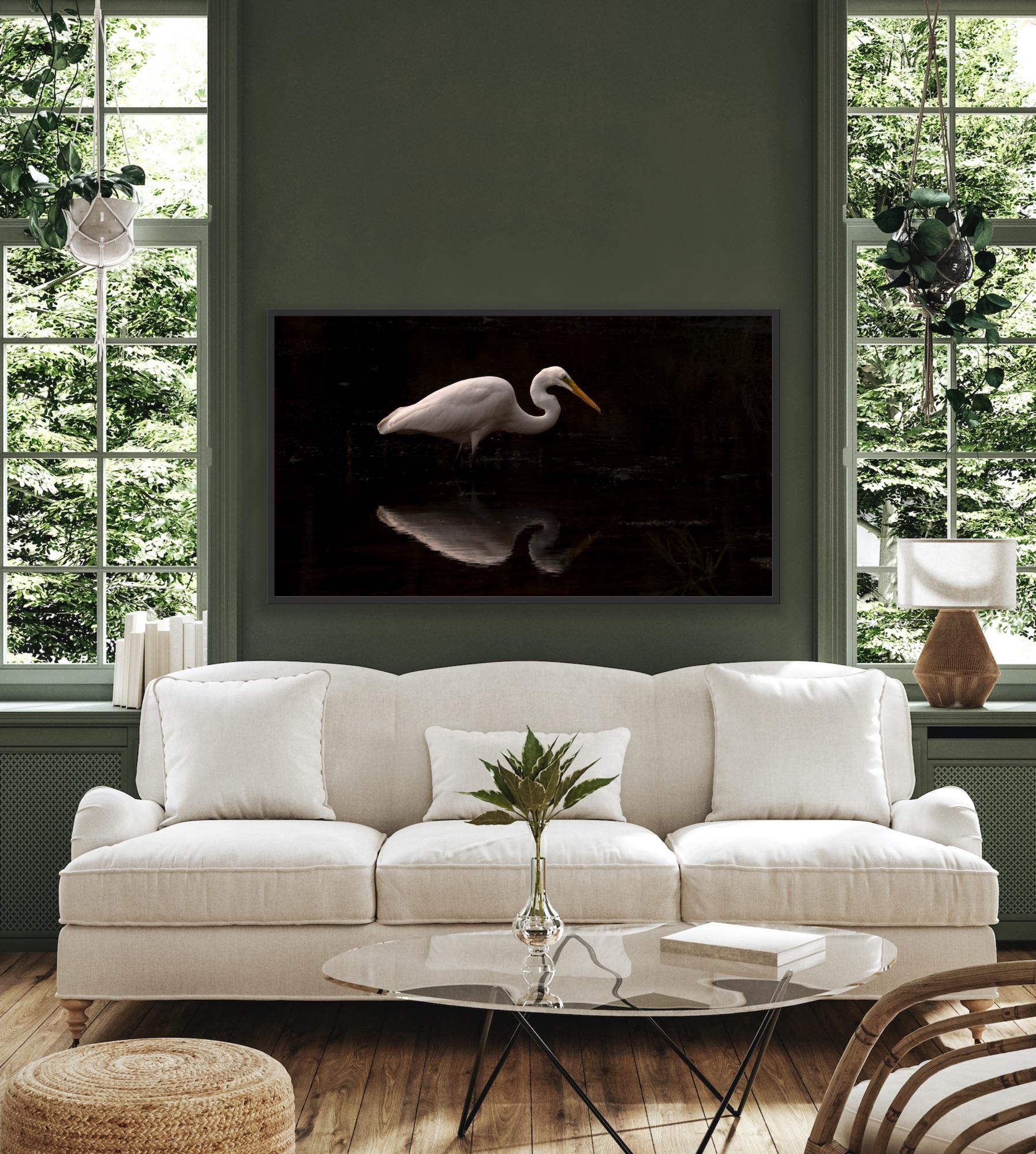 Animal Photographie Grande Nature Oiseau Eau Réflexion Faune Inde Blanc en vente 14