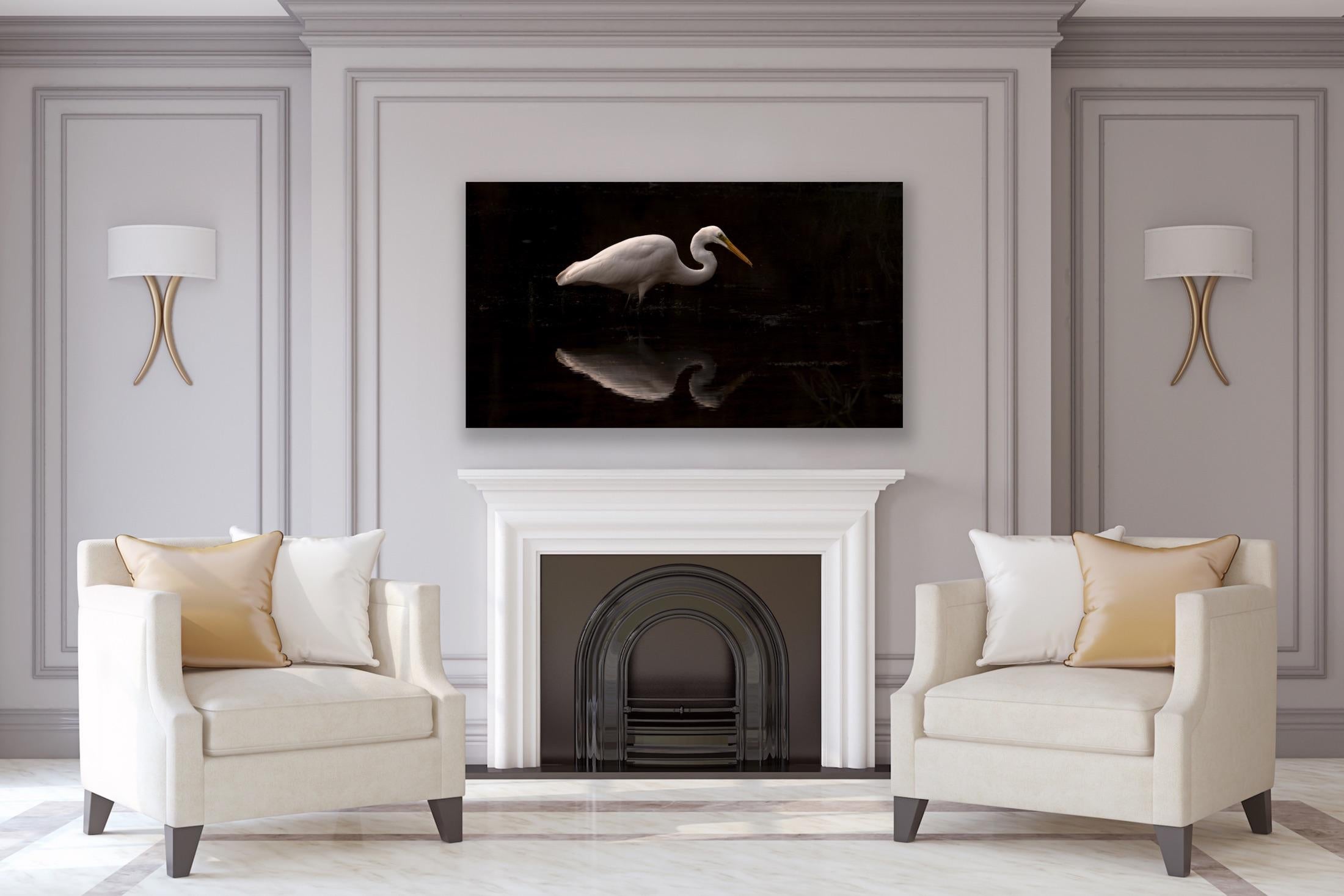 Animal Photograph Large Nature Bird Water Reflection Wildlife India White For Sale 3