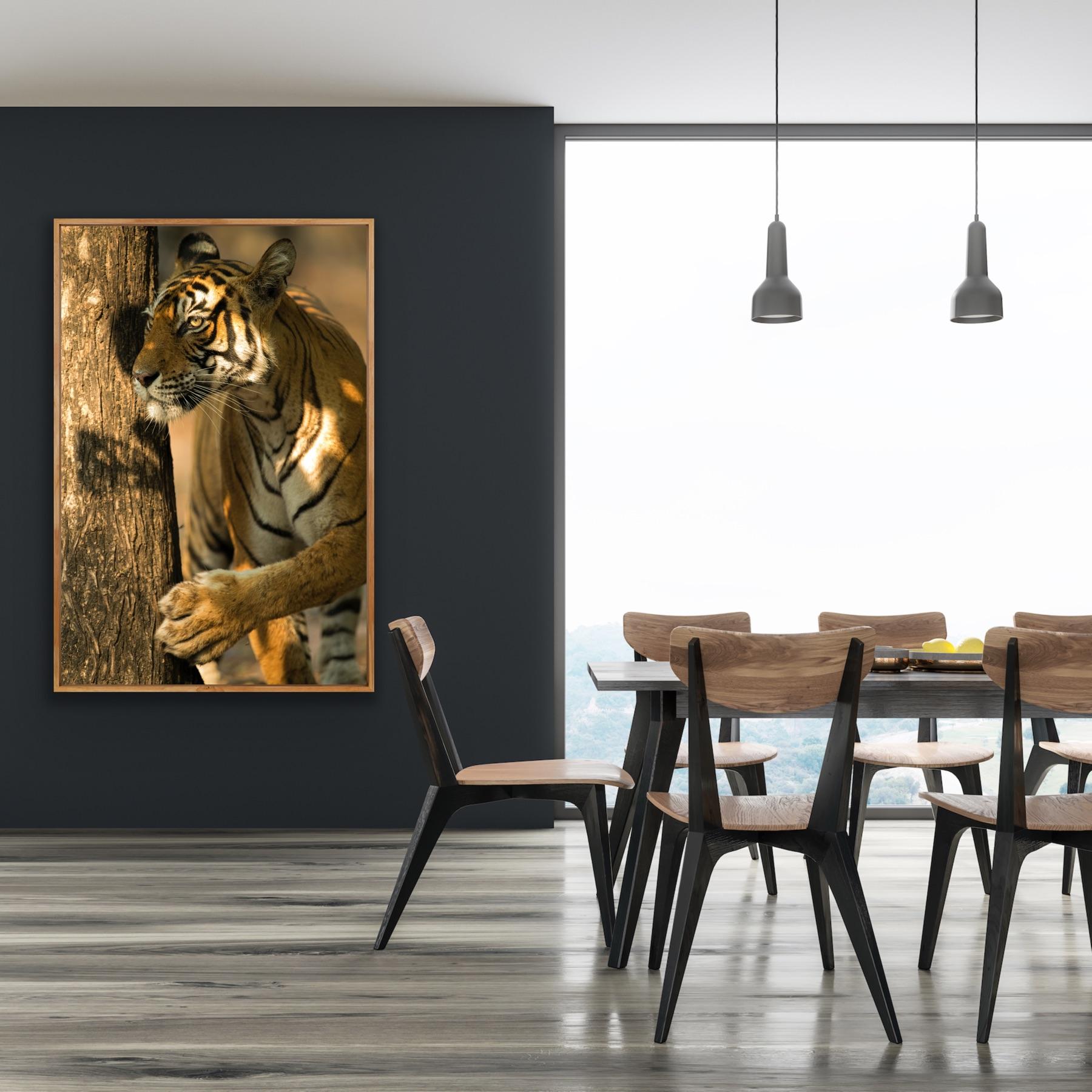 Landscape Animal Large Photograph Tiger Tree India Wildlife Forest Nature For Sale 3