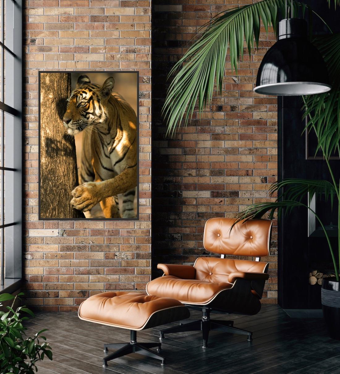 Paysage Animal Grande Photographie Tigre Arbre Inde Faune Forêt Nature en vente 1