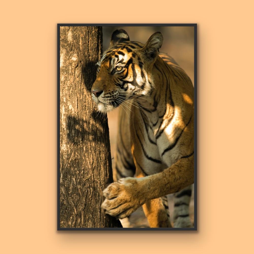 Landschaft Tier Großes Foto Tiger Baum Indien Wildlife Wald Natur im Angebot 4