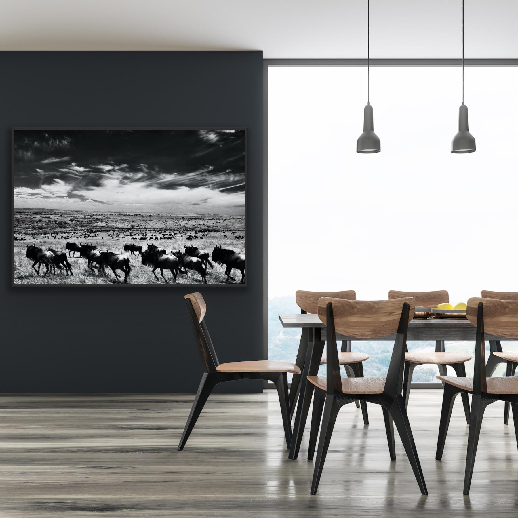 Paysage Nature Grand noir et blanc Photographie infrarouge Kenya Afrique Vie sauvage en vente 7