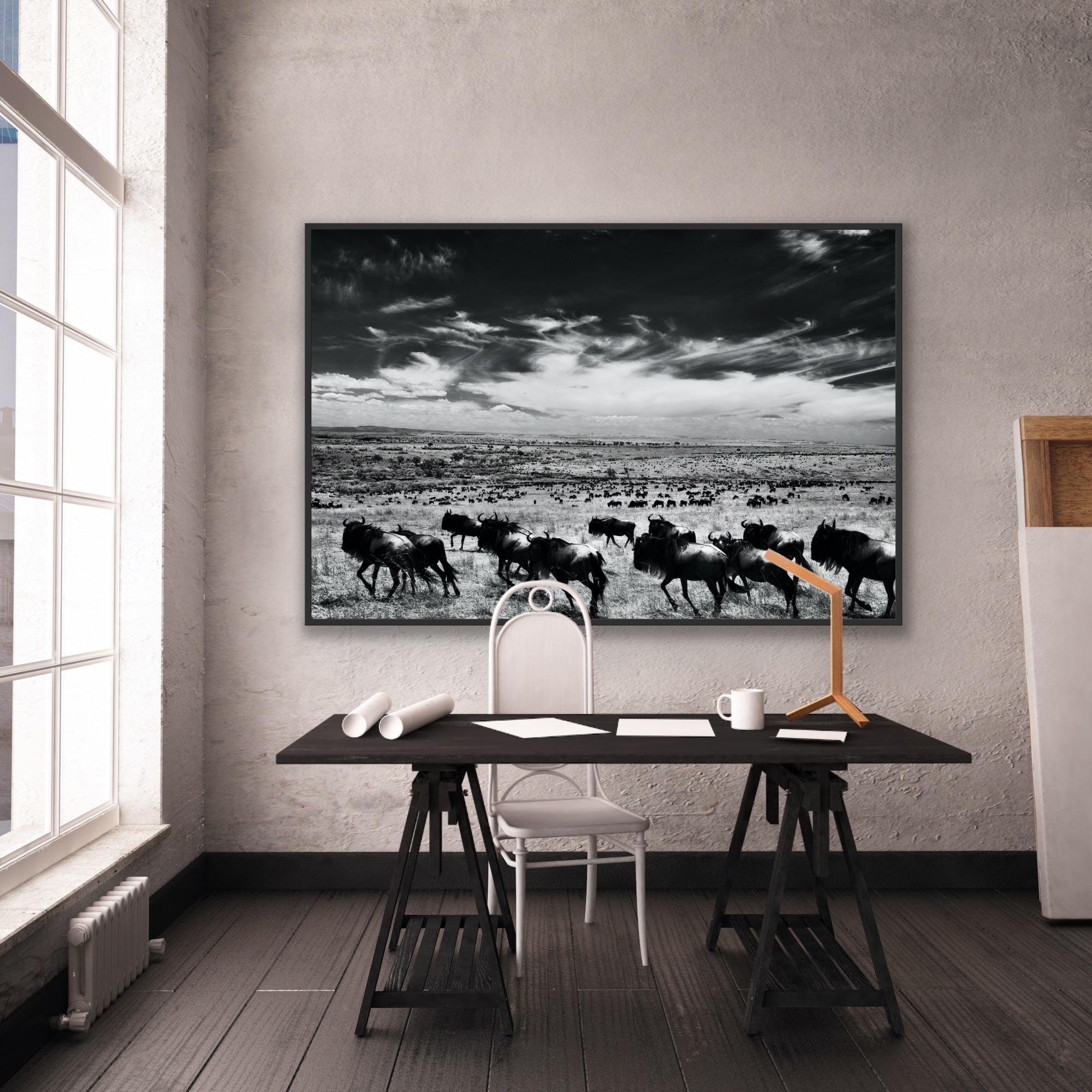 Paysage Nature Grand noir et blanc Photographie infrarouge Kenya Afrique Vie sauvage en vente 1