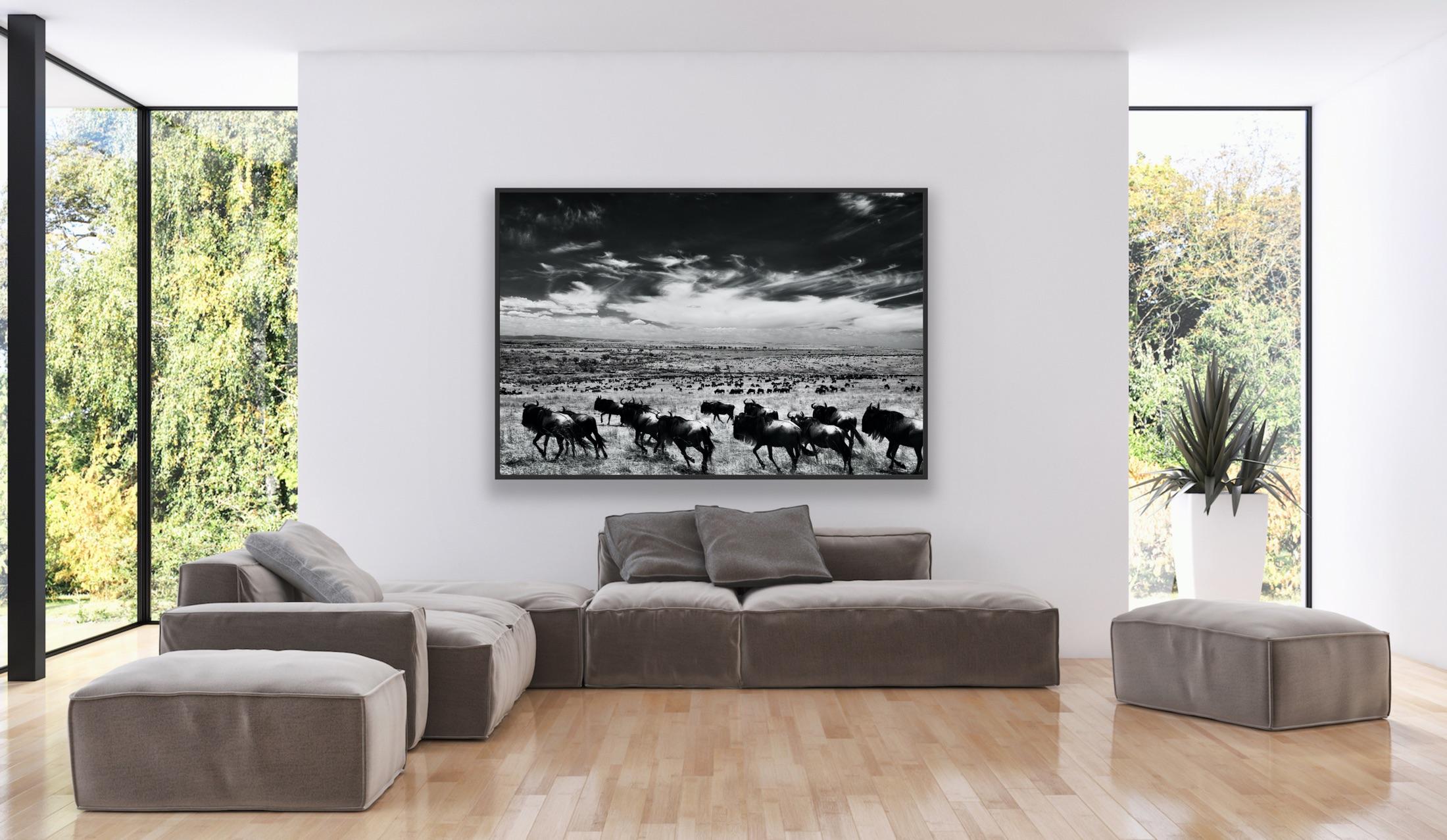 Paysage Nature Grand noir et blanc Photographie infrarouge Kenya Afrique Vie sauvage en vente 8
