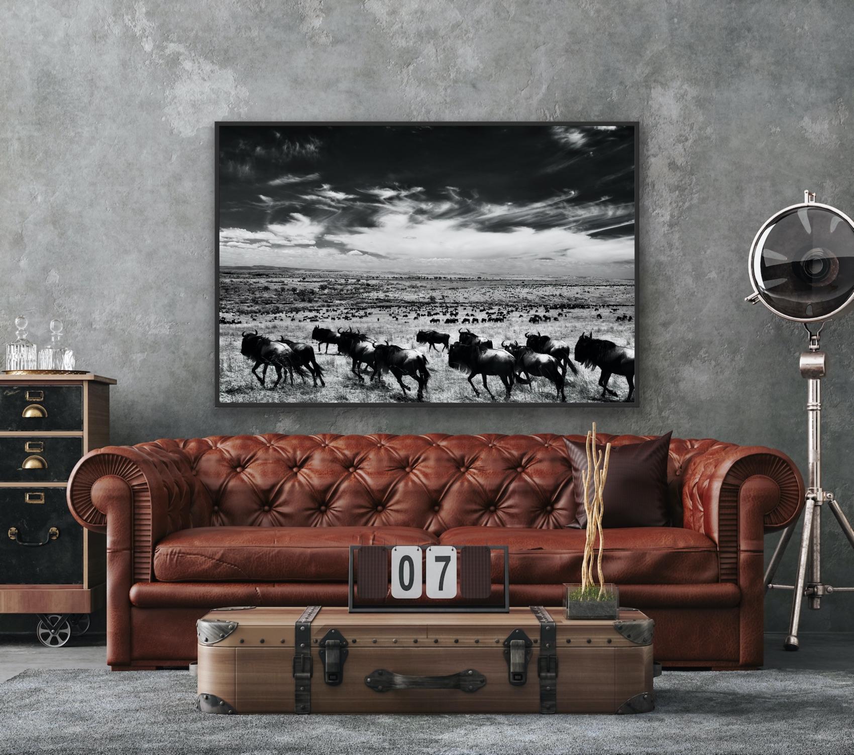 Paysage Nature Grand noir et blanc Photographie infrarouge Kenya Afrique Vie sauvage en vente 9