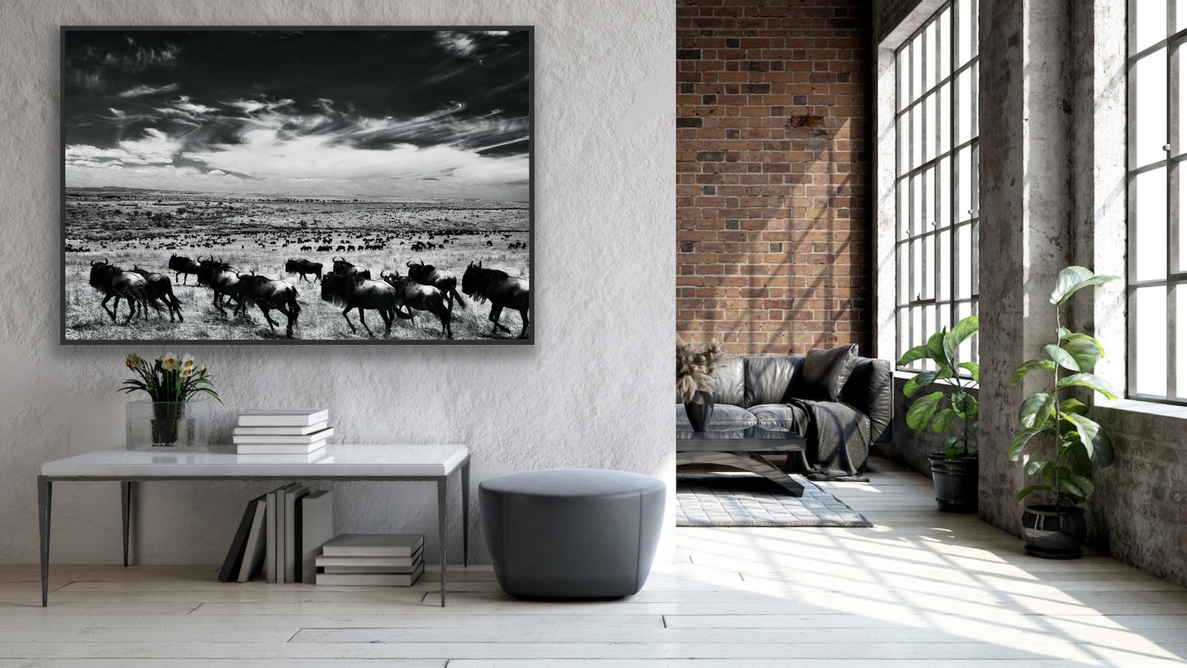 Paysage Nature Grand noir et blanc Photographie infrarouge Kenya Afrique Vie sauvage en vente 10