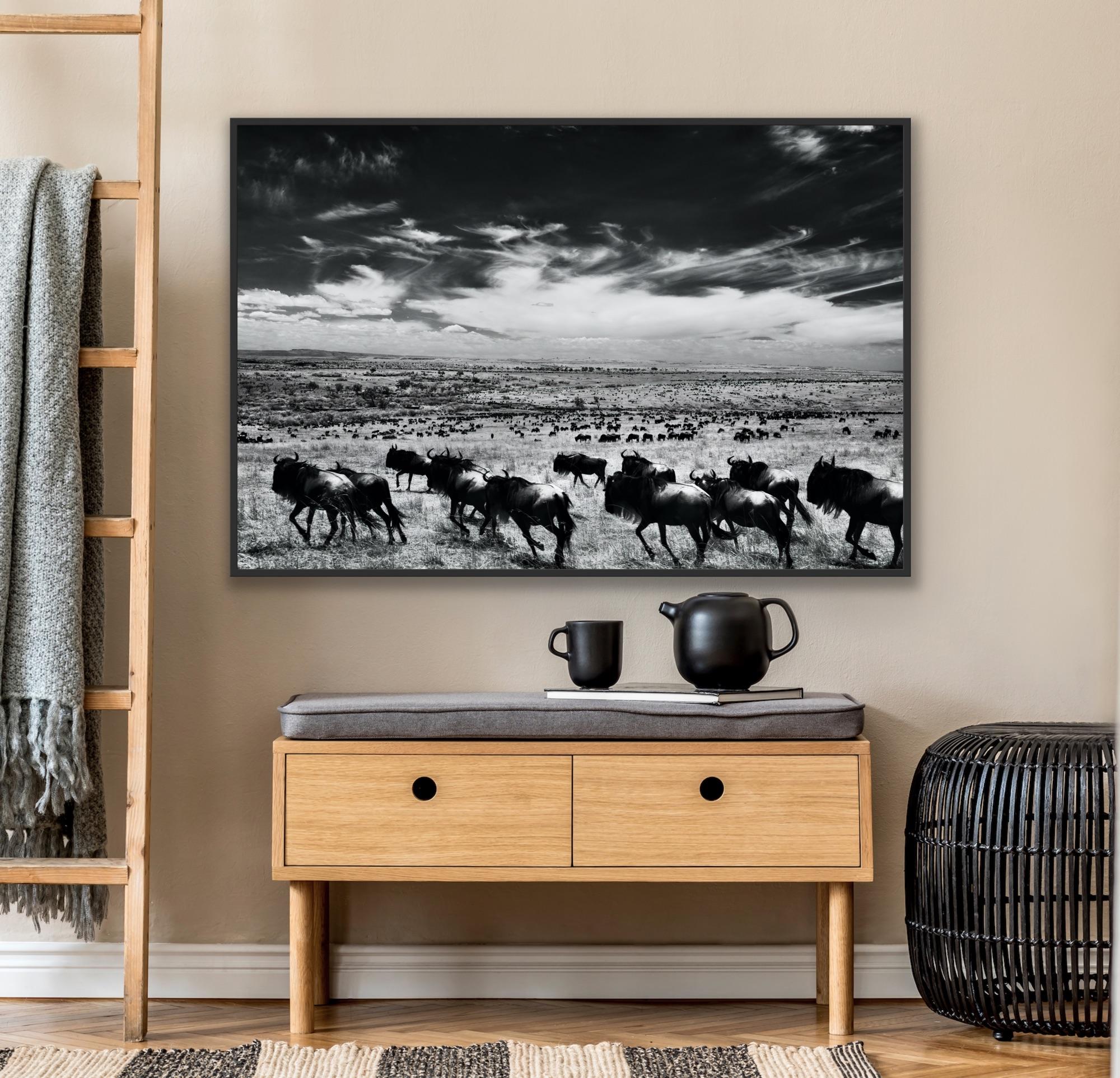 Paysage Nature Grand noir et blanc Photographie infrarouge Kenya Afrique Vie sauvage en vente 11