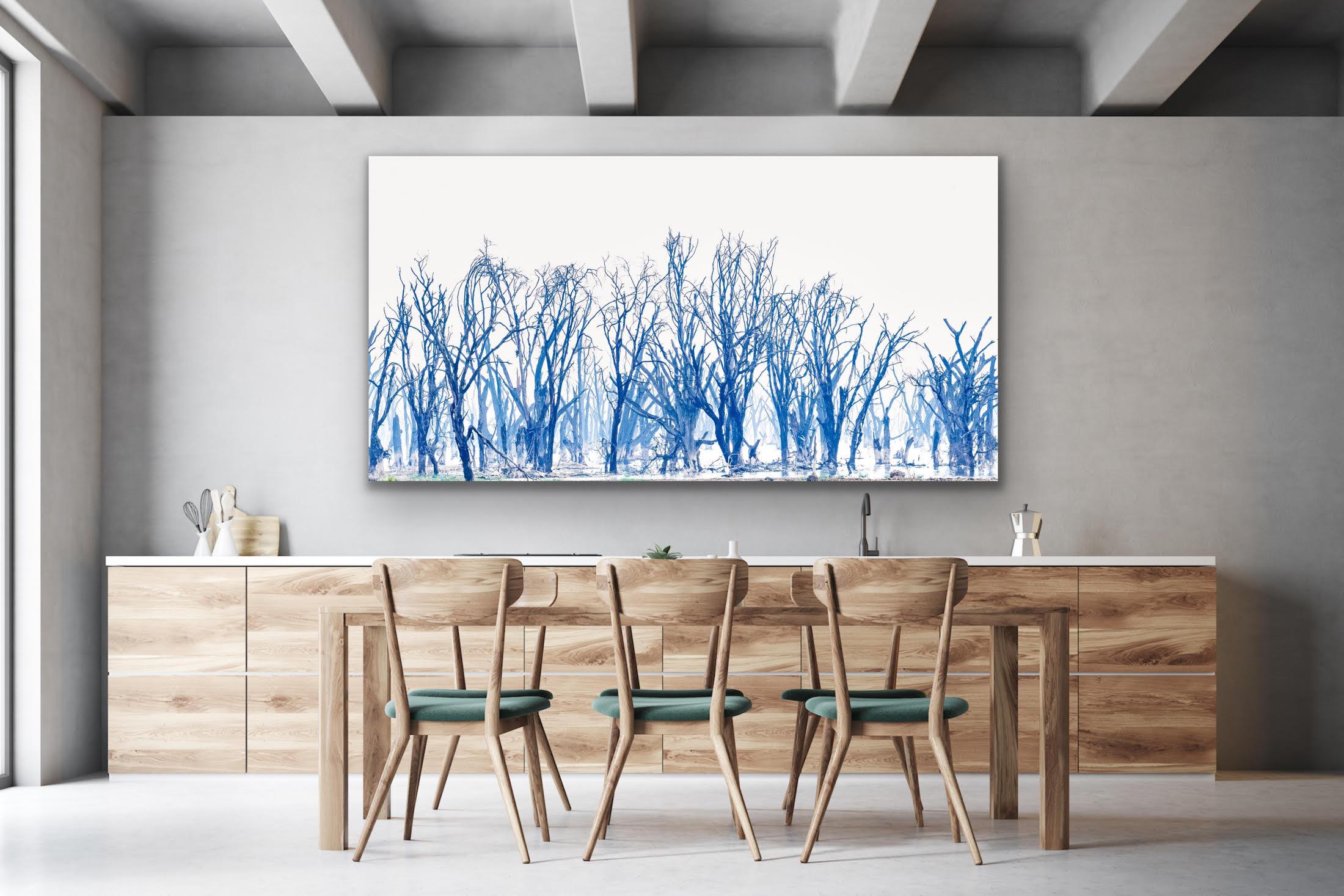 Landscape Large Photograph Lake Minimal Nature Trees Wildlife Africa Blue White For Sale 7