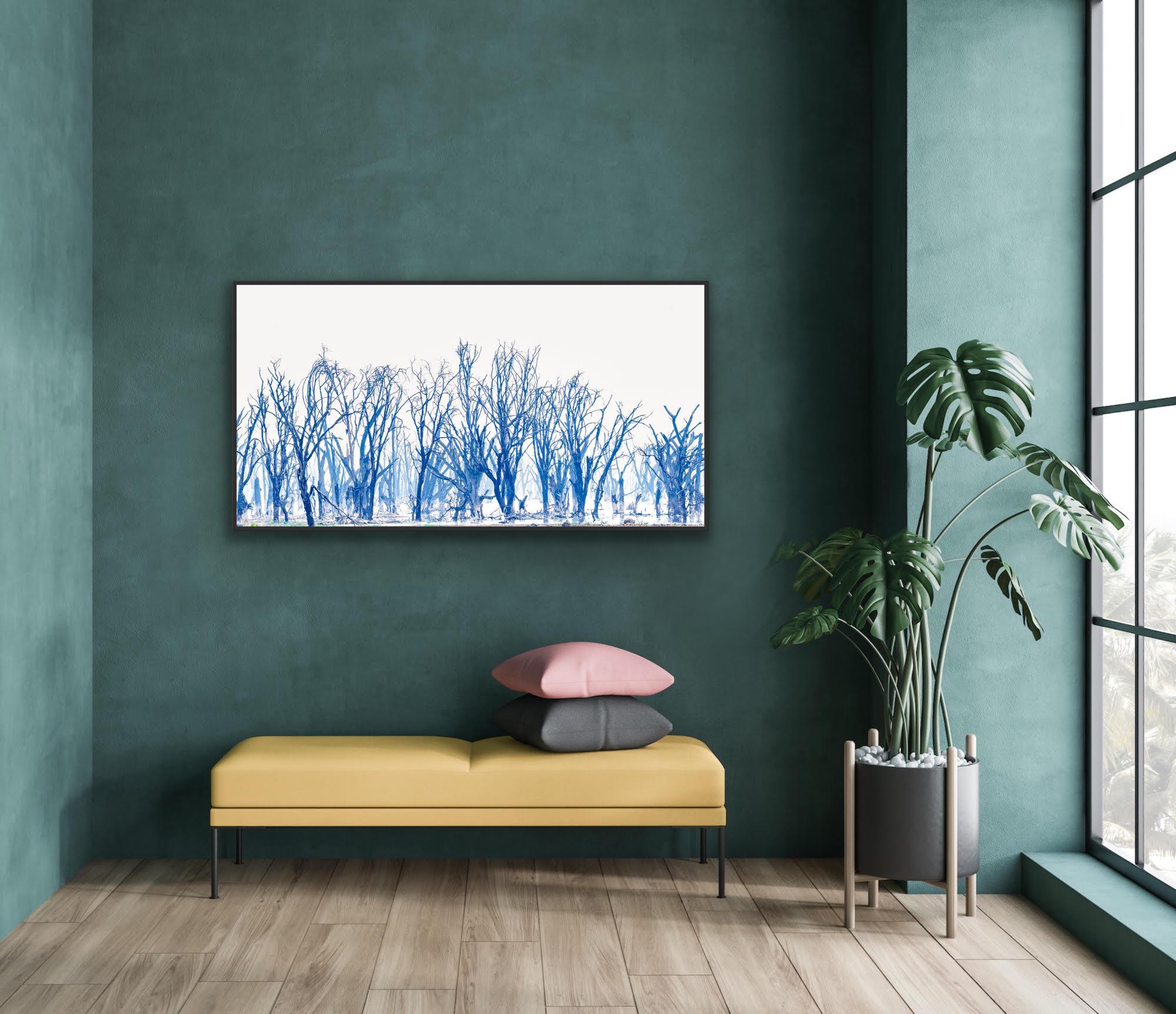 Landscape Large Photograph Lake Minimal Nature Trees Wildlife Africa Blue White For Sale 8