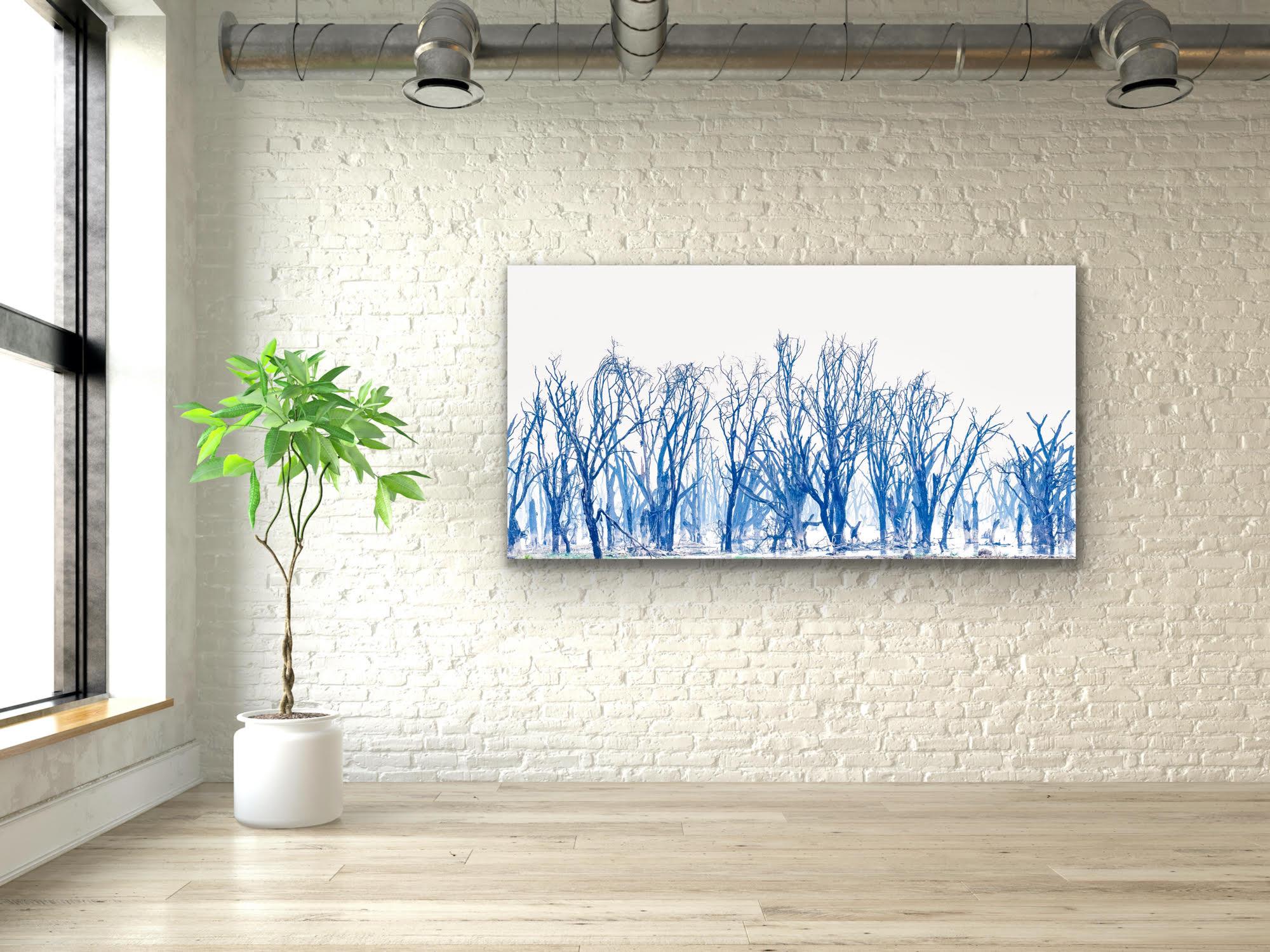 Landscape Large Photograph Lake Minimal Nature Trees Wildlife Africa Blue White For Sale 9