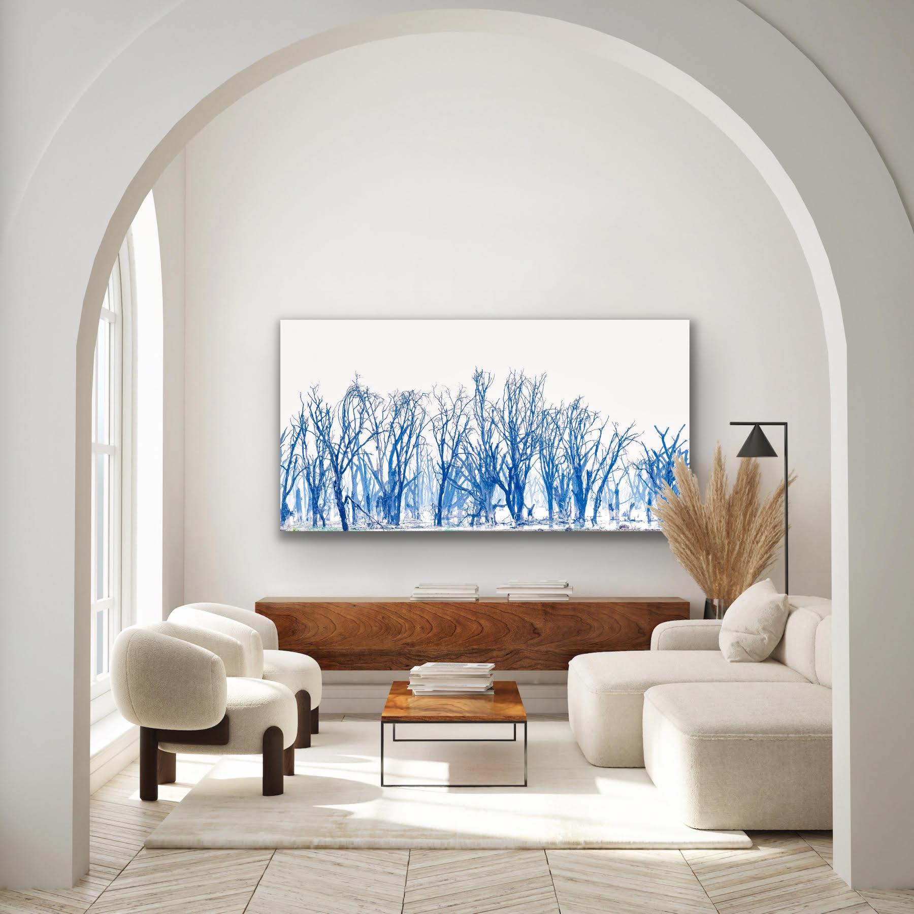 Landscape Large Photograph Lake Minimal Nature Trees Wildlife Africa Blue White For Sale 10