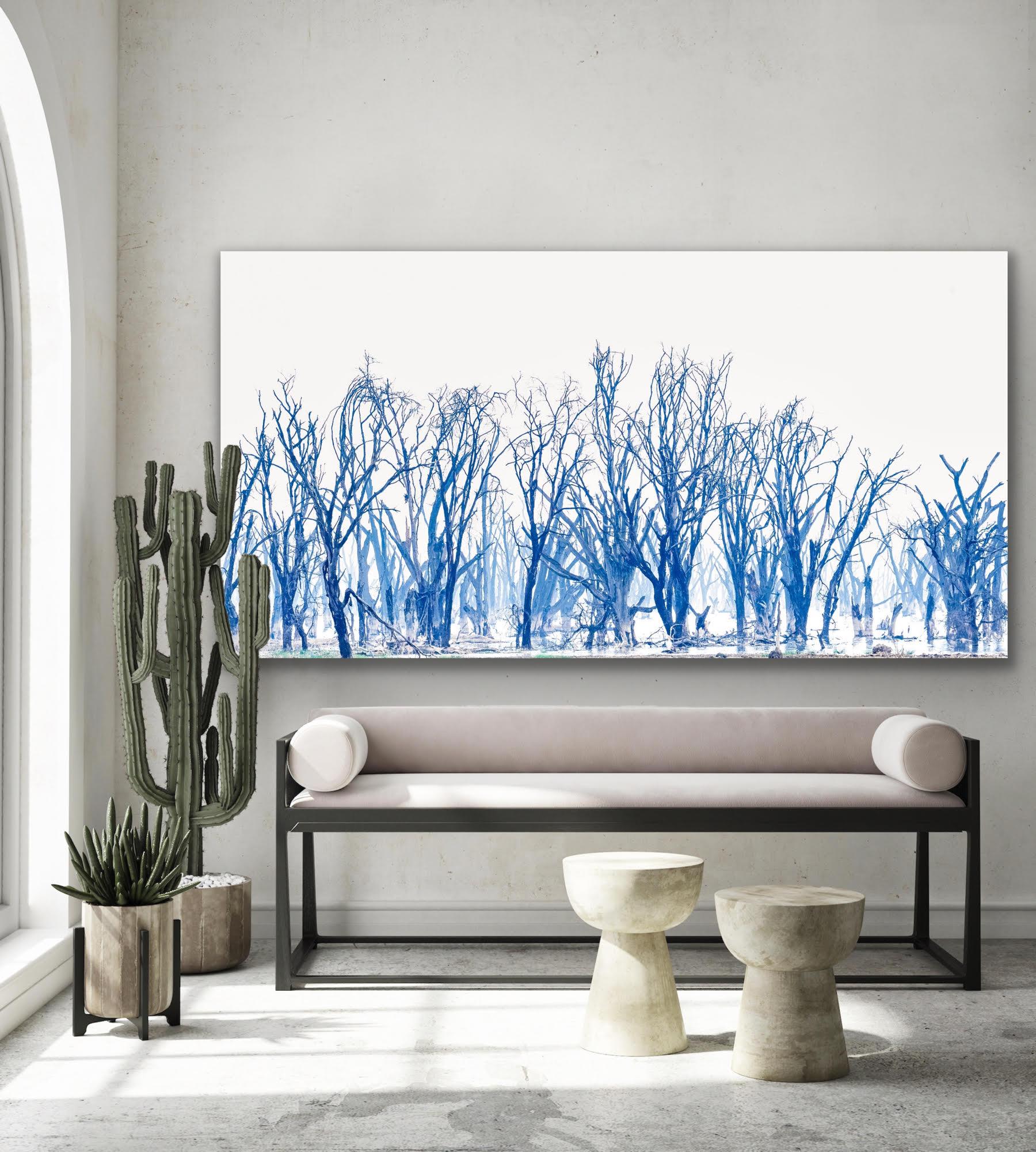 Landscape Large Photograph Lake Minimal Nature Trees Wildlife Africa Blue White For Sale 11