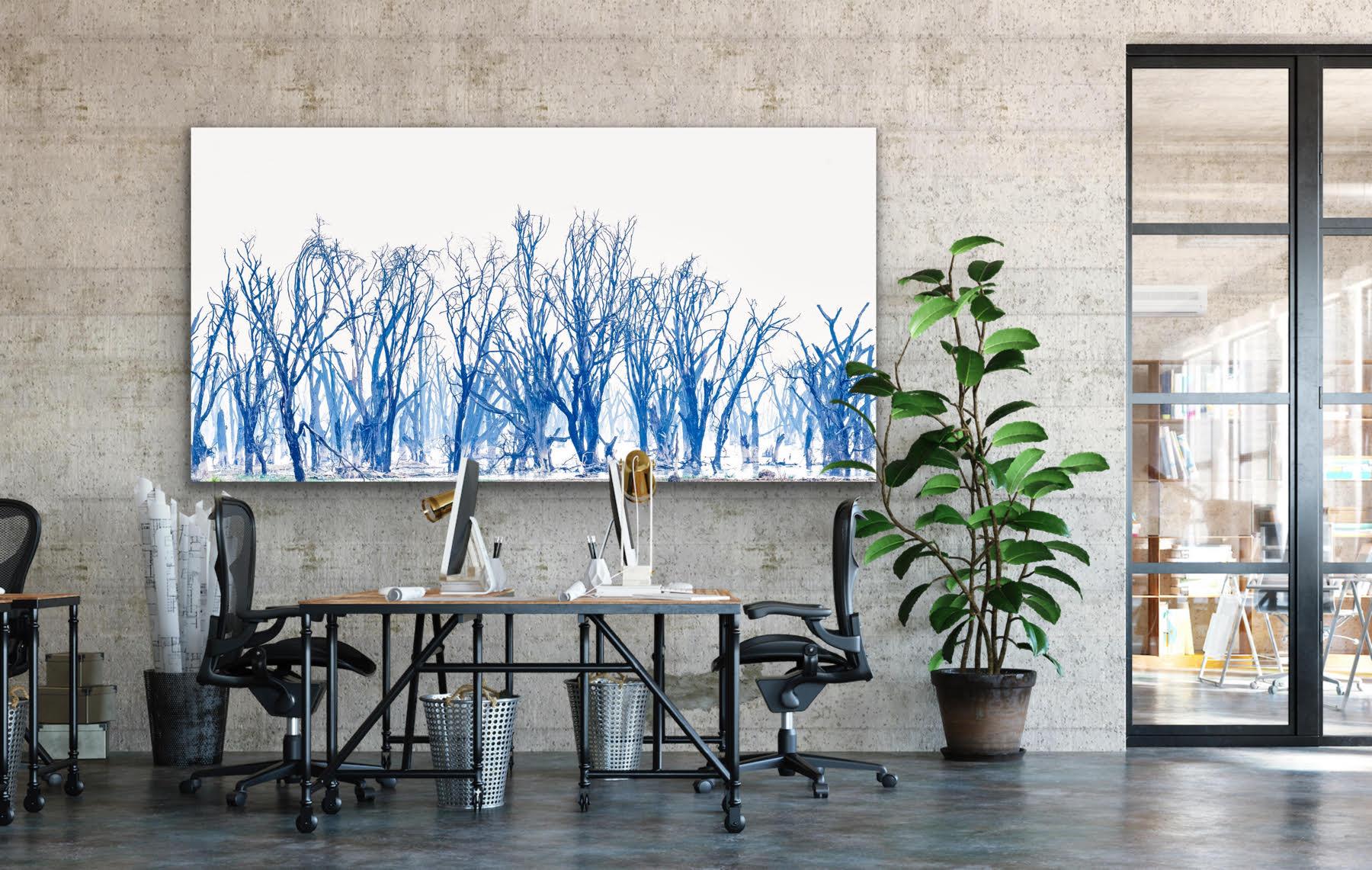 Landscape Large Photograph Lake Minimal Nature Trees Wildlife Africa Blue White For Sale 12