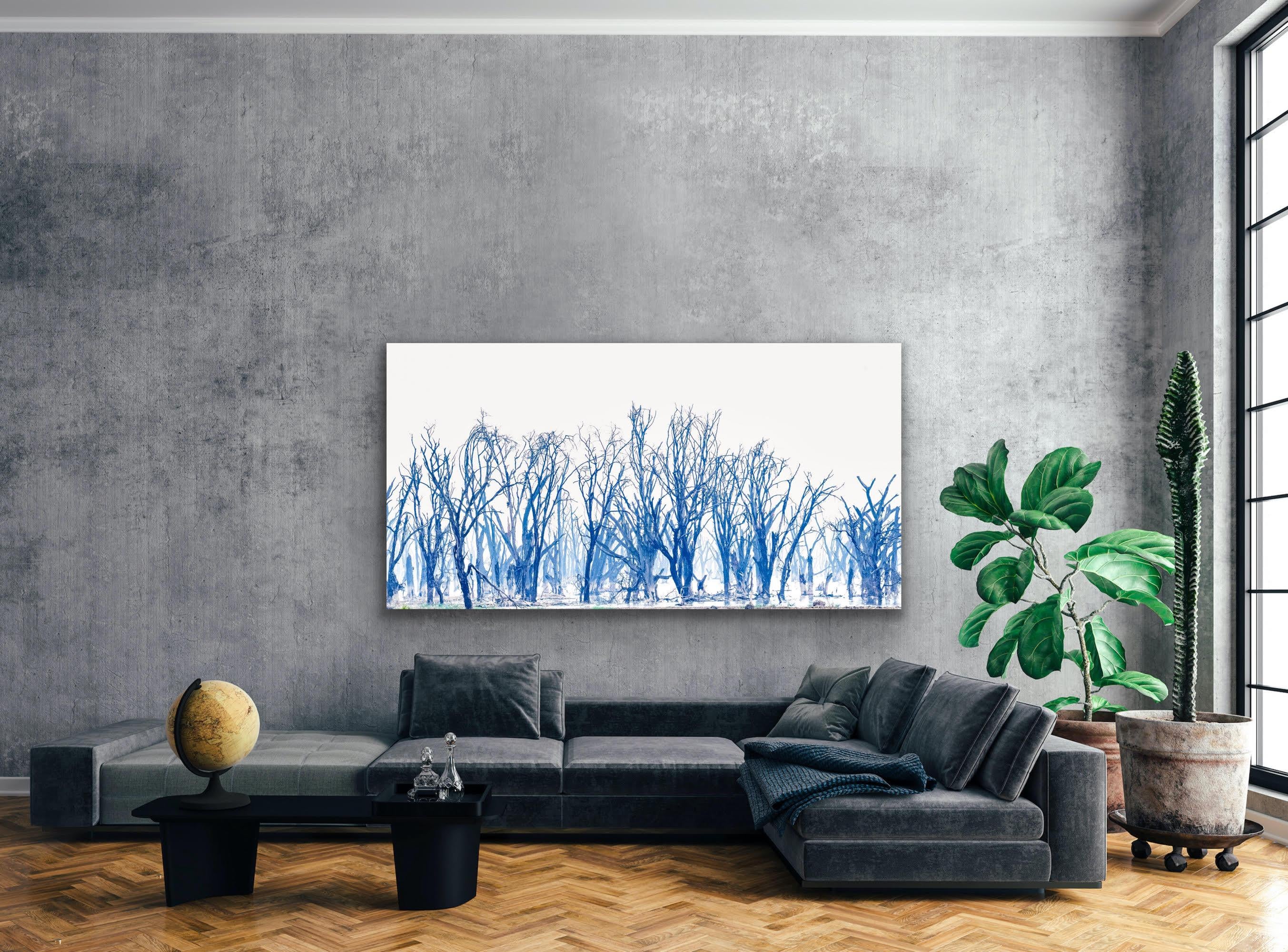 Landscape Large Photograph Lake Minimal Nature Trees Wildlife Africa Blue White For Sale 13
