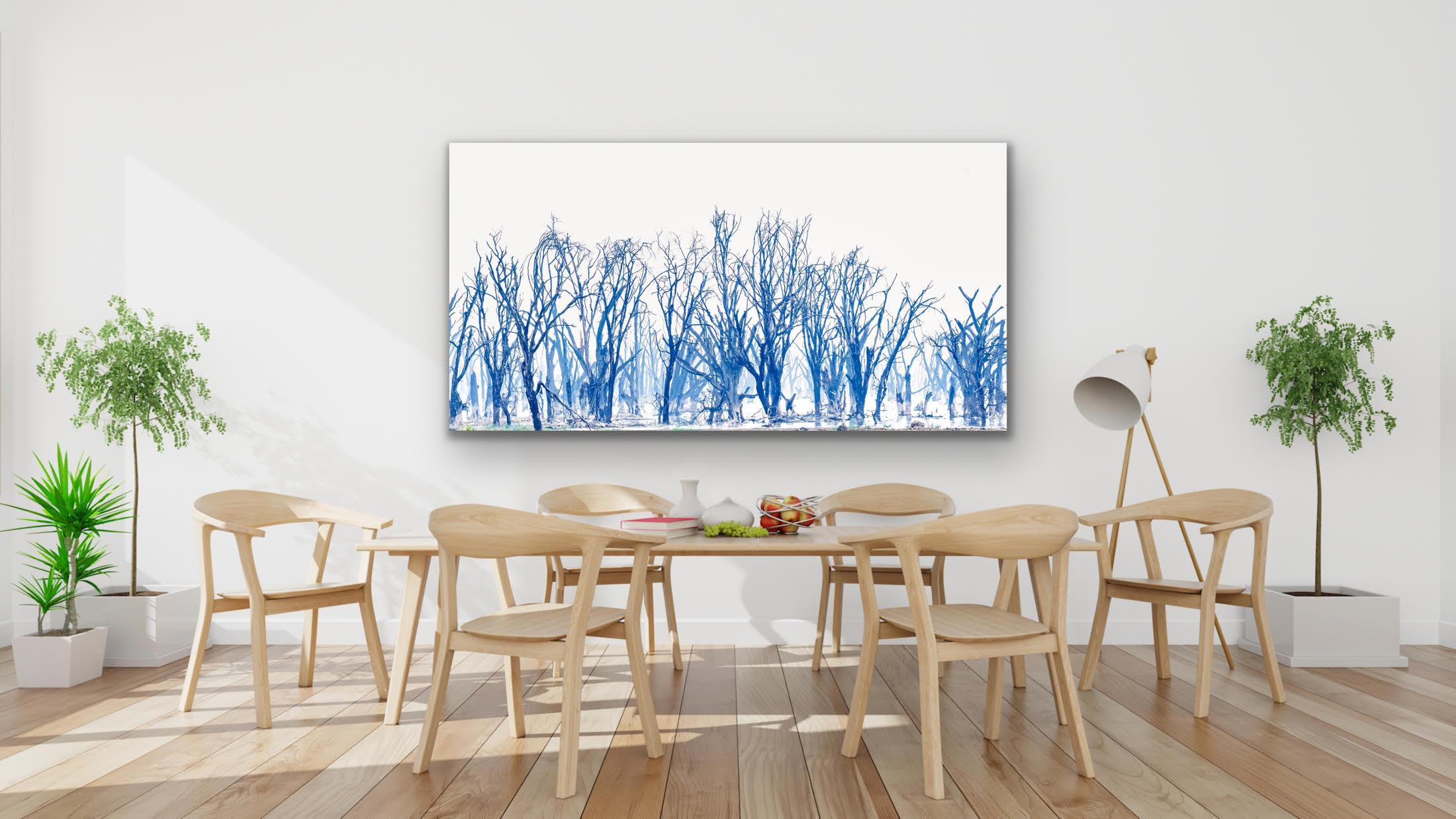 Landscape Large Photograph Lake Minimal Nature Trees Wildlife Africa Blue White For Sale 14