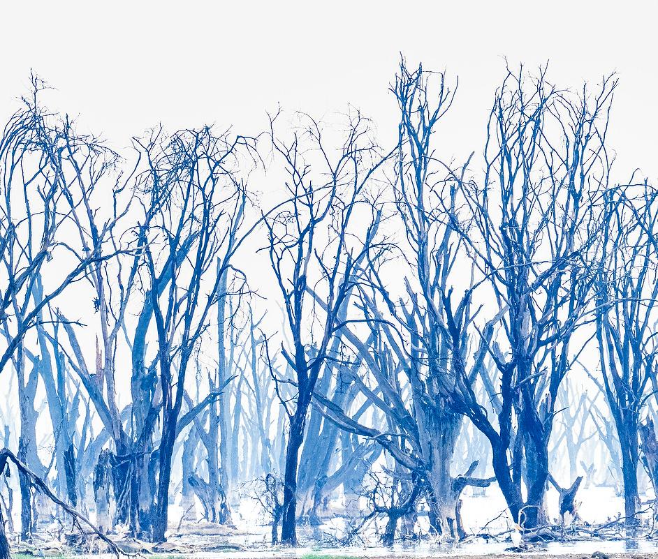 Landscape Large Photograph Lake Minimal Nature Trees Wildlife Africa Blue White - Gray Color Photograph by Aditya Dicky Singh