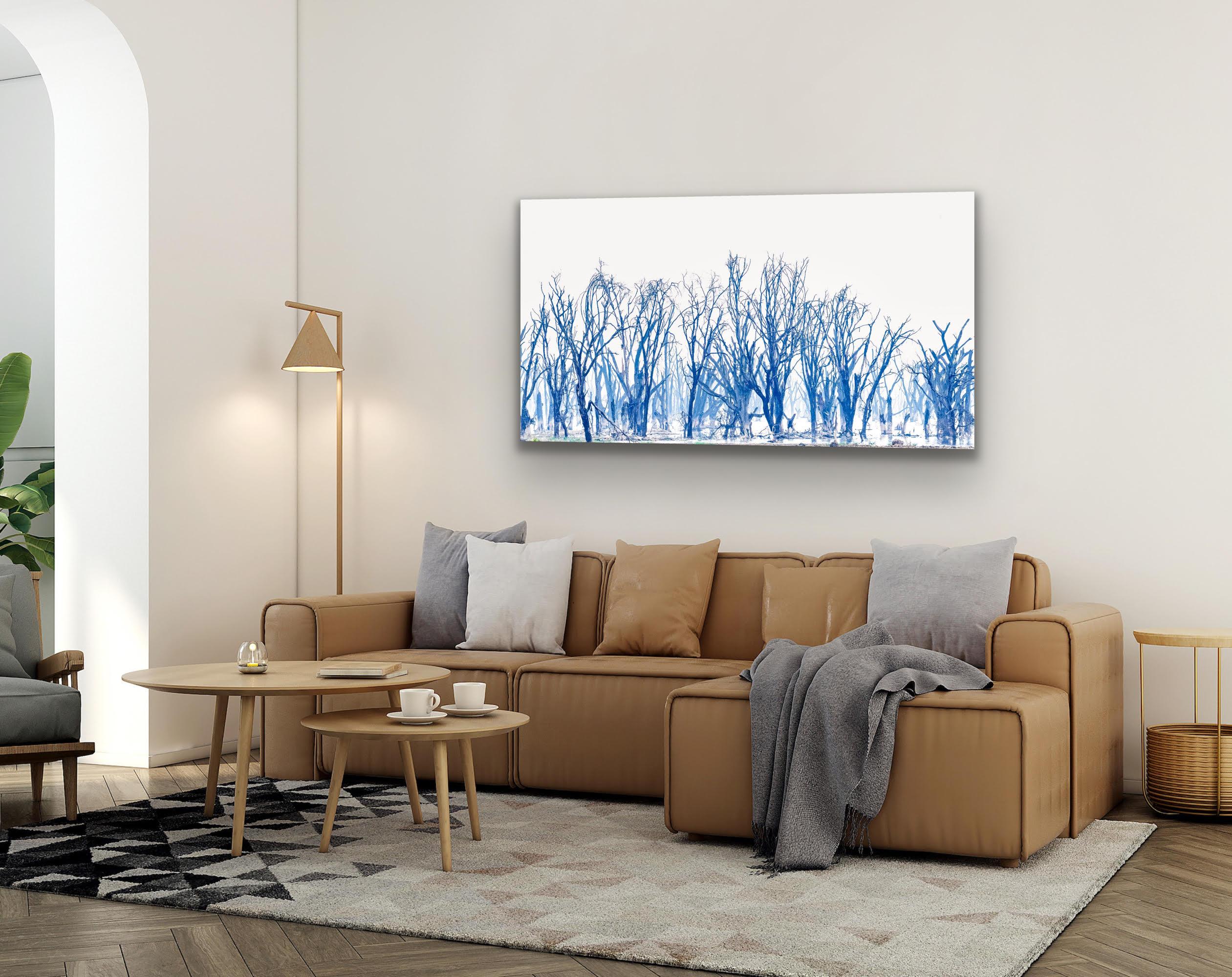 Landscape Large Photograph Lake Minimal Nature Trees Wildlife Africa Blue White For Sale 3