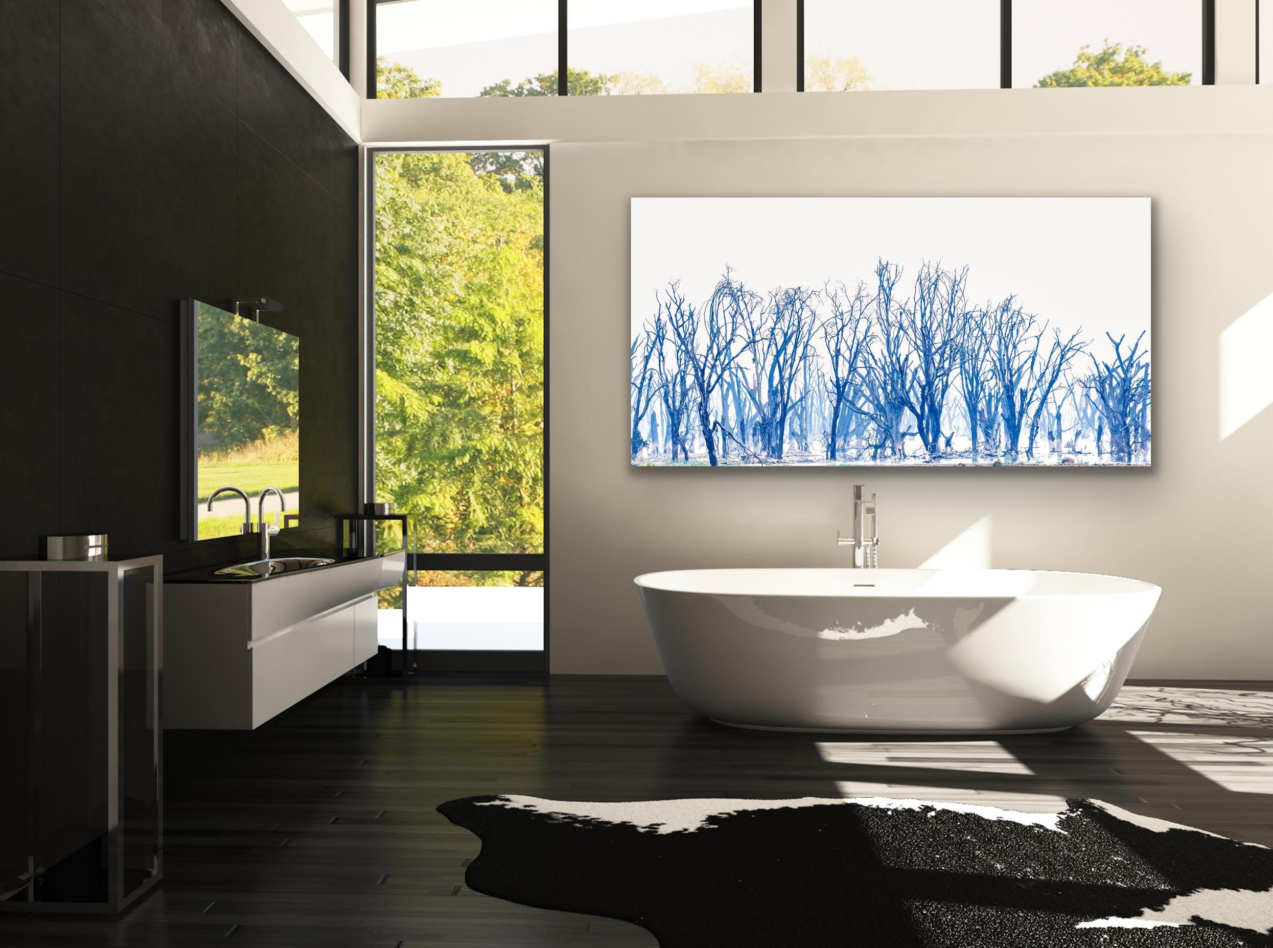 Landscape Large Photograph Lake Minimal Nature Trees Wildlife Africa Blue White For Sale 4