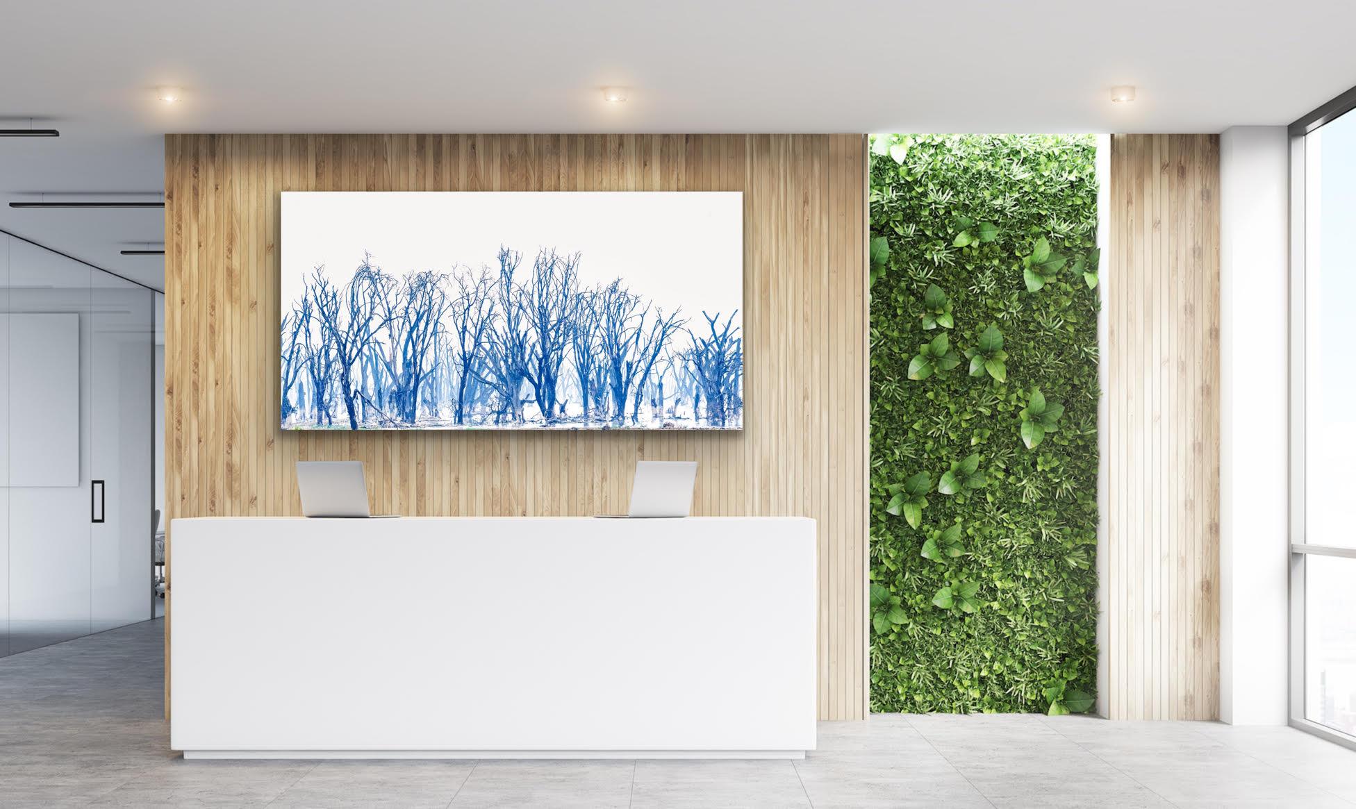 Landscape Large Photograph Lake Minimal Nature Trees Wildlife Africa Blue White For Sale 5