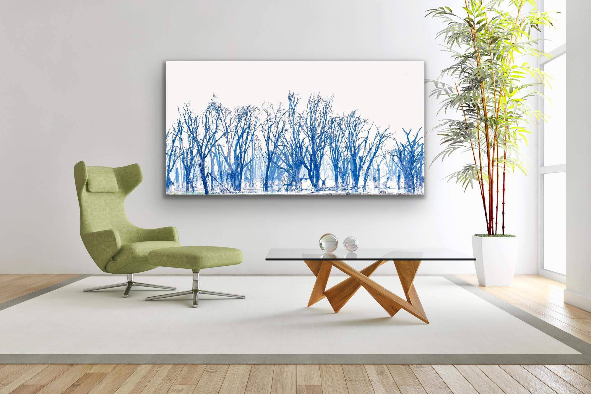 Landscape Large Photograph Lake Minimal Nature Trees Wildlife Africa Blue White For Sale 6