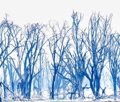 Paisaje Fotografía Grande Lago Naturaleza Mínima Árboles Vida Salvaje África Azul Blanco