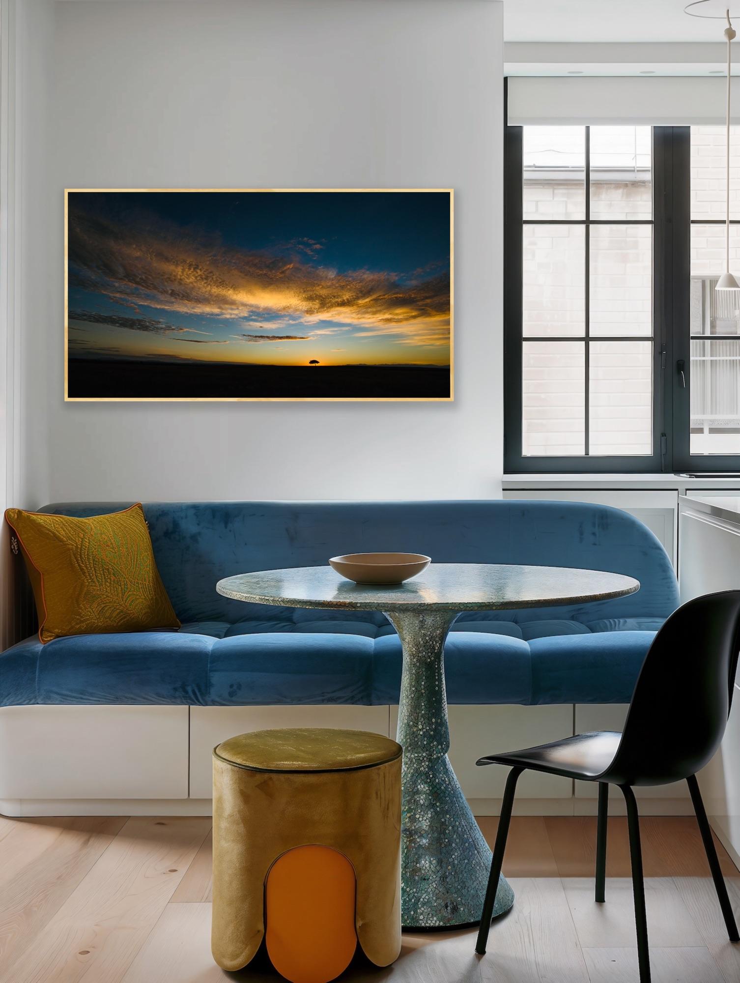 Landscape Photograph Nature Big Skies Africa Tree Blue Orange Sunset Wildlife For Sale 2